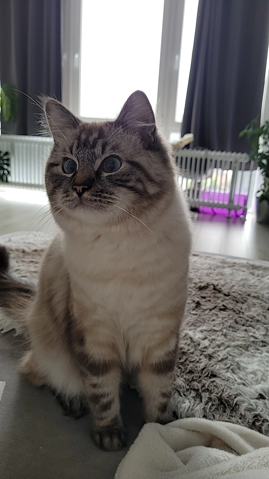 Mogi - Heiler Straße, Gummersbach