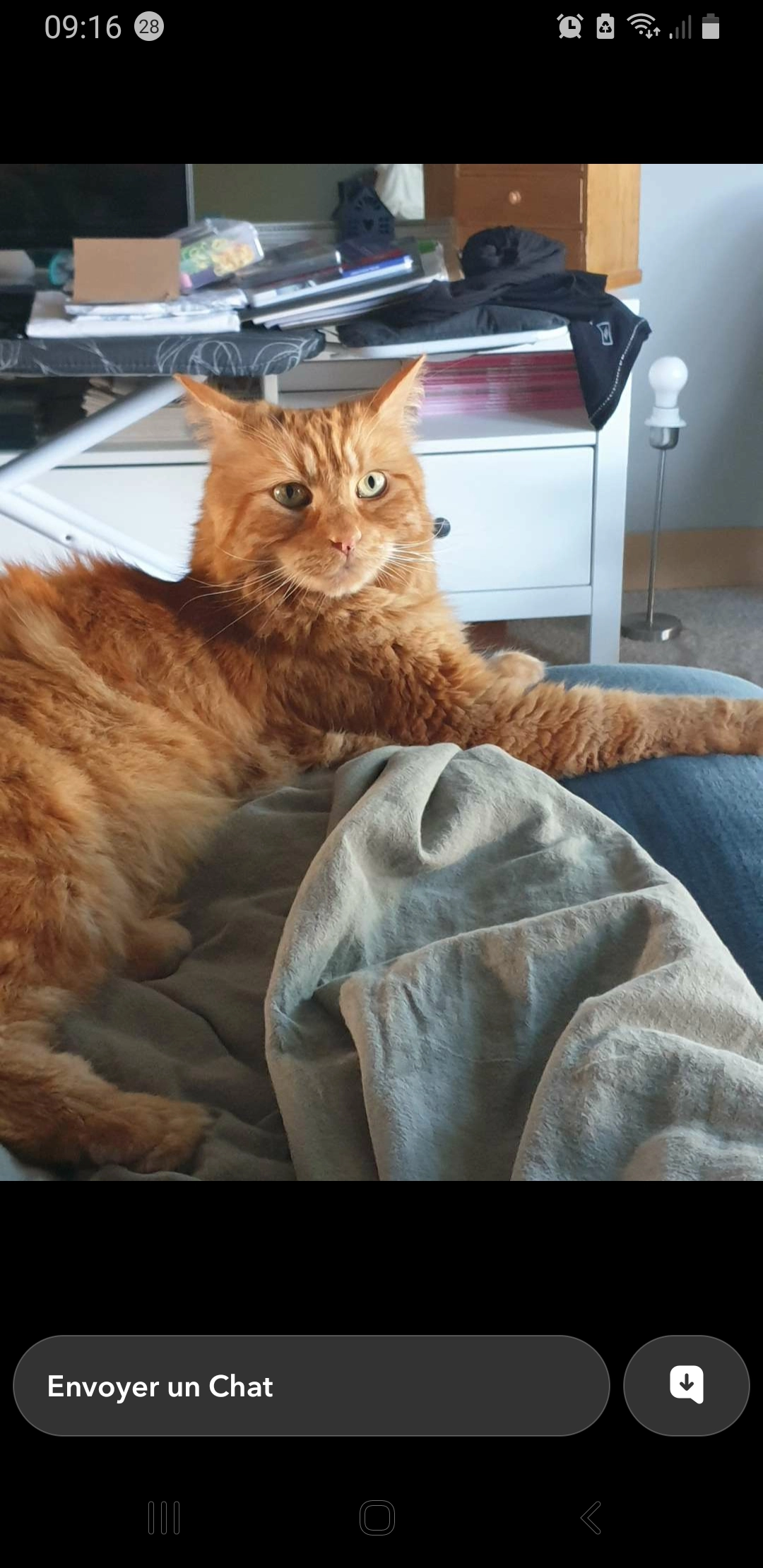 Senpaï - 1 Rue Marcel Cerdan, Vannes