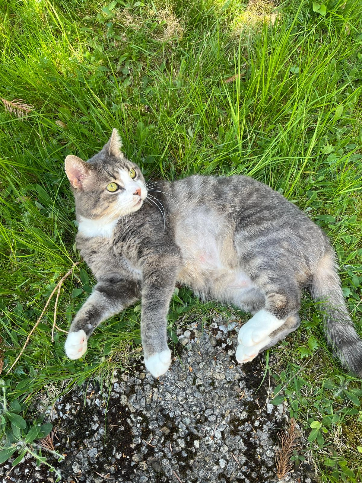 Hugo - Alpspitzweg, Altusried