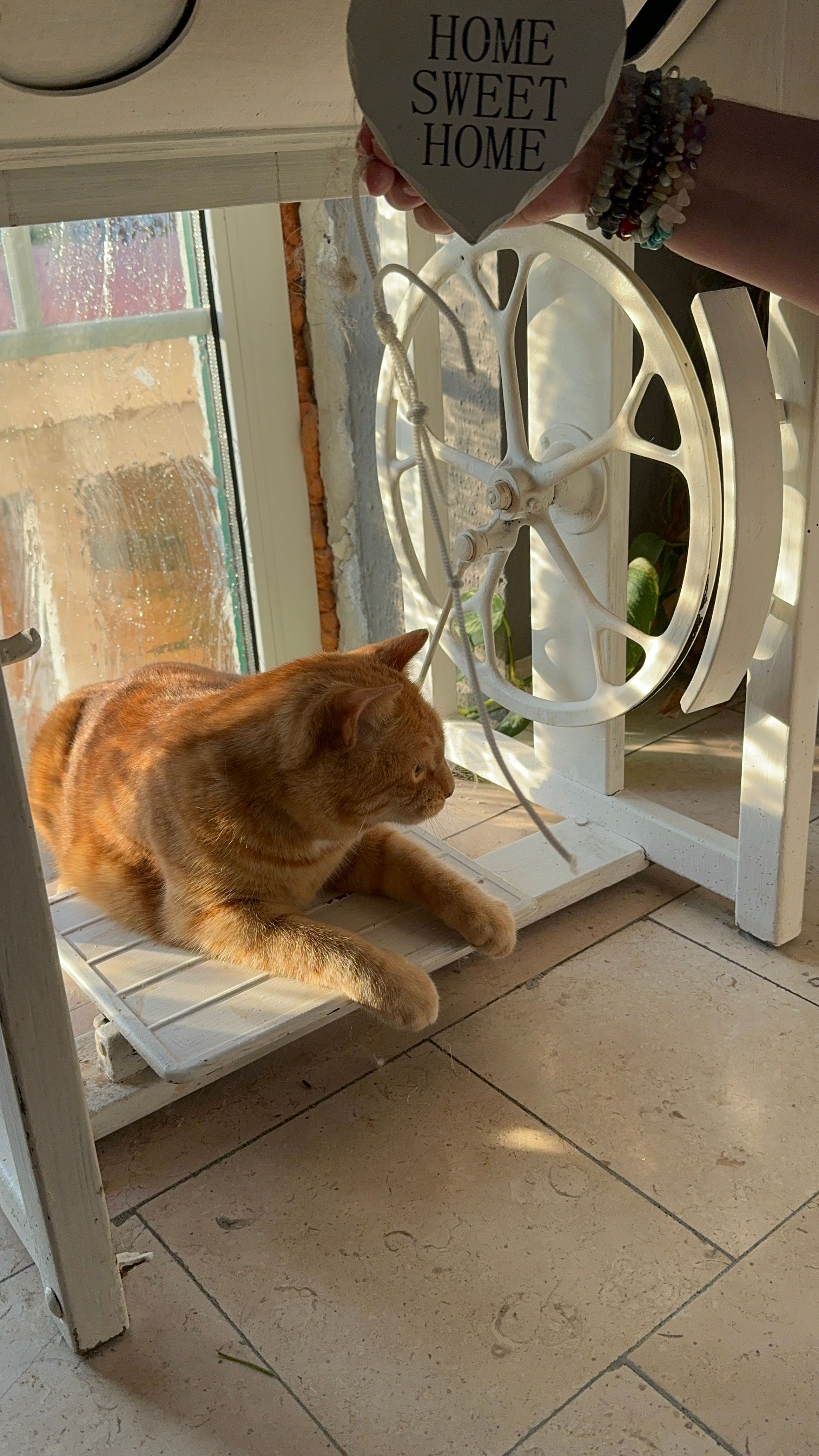 Mucki - Rosenstraße, Kirchdorf am Inn