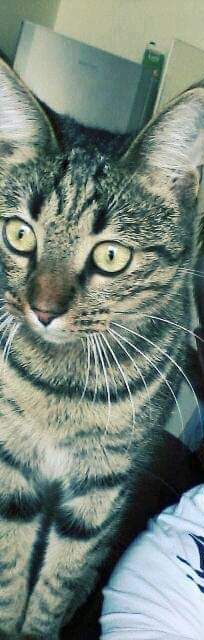 Crunch - 2 Impasse Sainte-Cécile, Saint-Omer