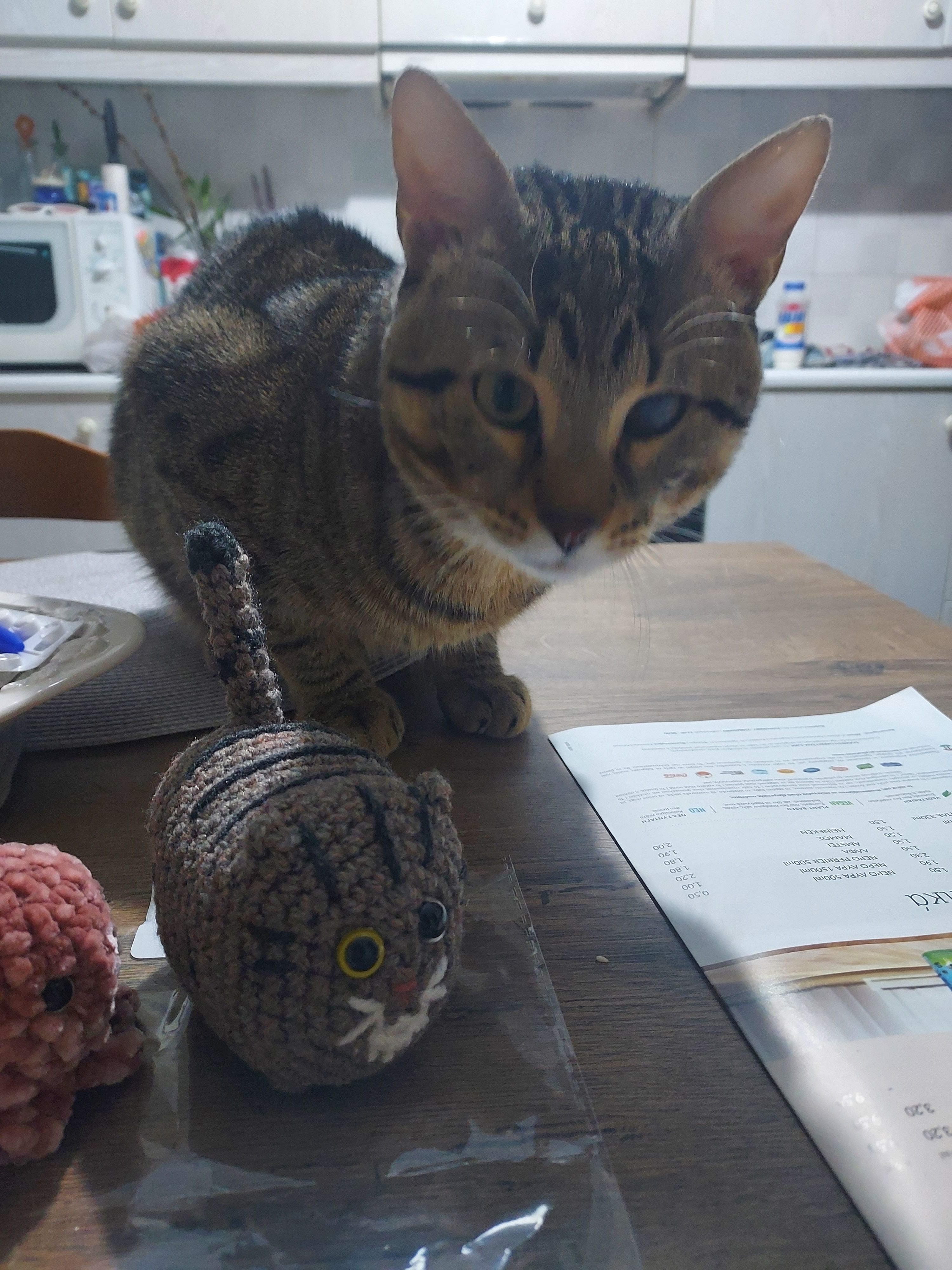 Ciel - Νιρβάνα, Athens