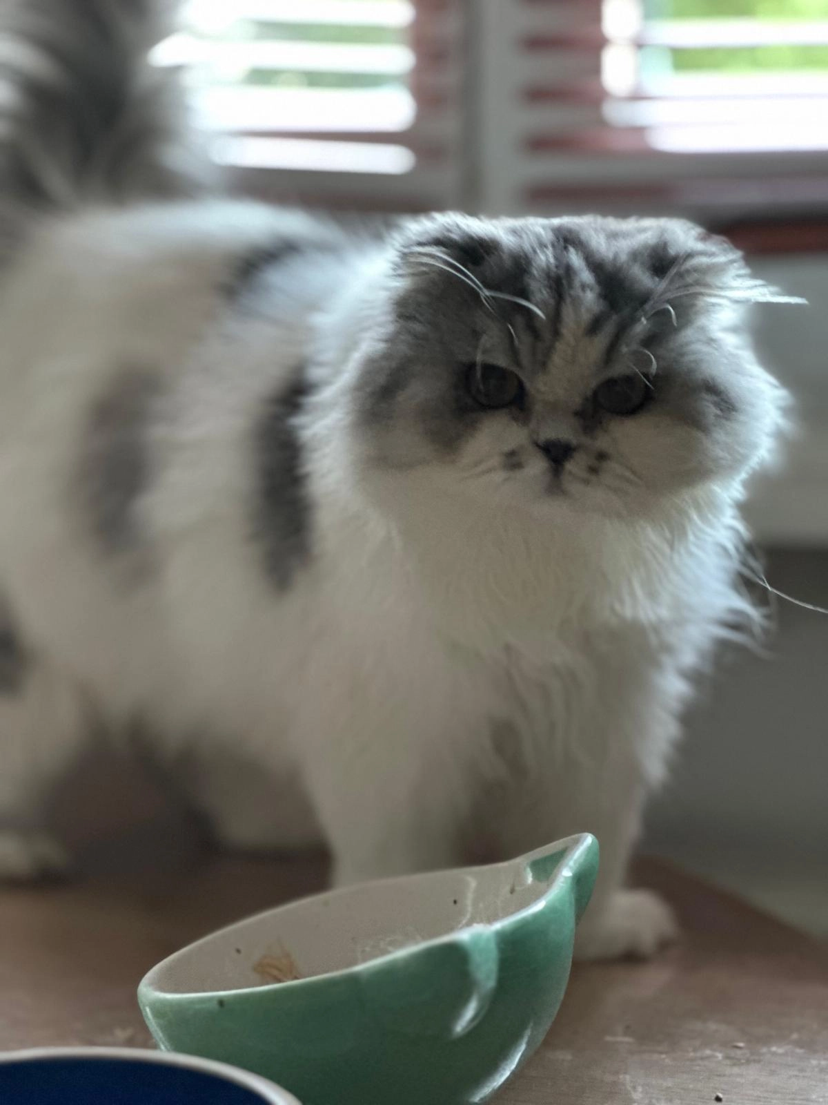 Pimprenelle  - Chemin d'Eysins 38, Nyon