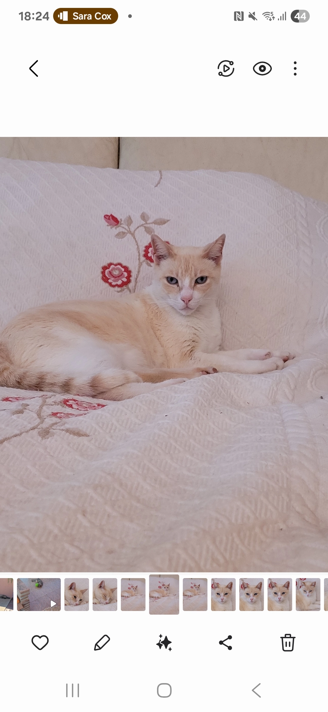 Yoda - Rowland Road, Scunthorpe