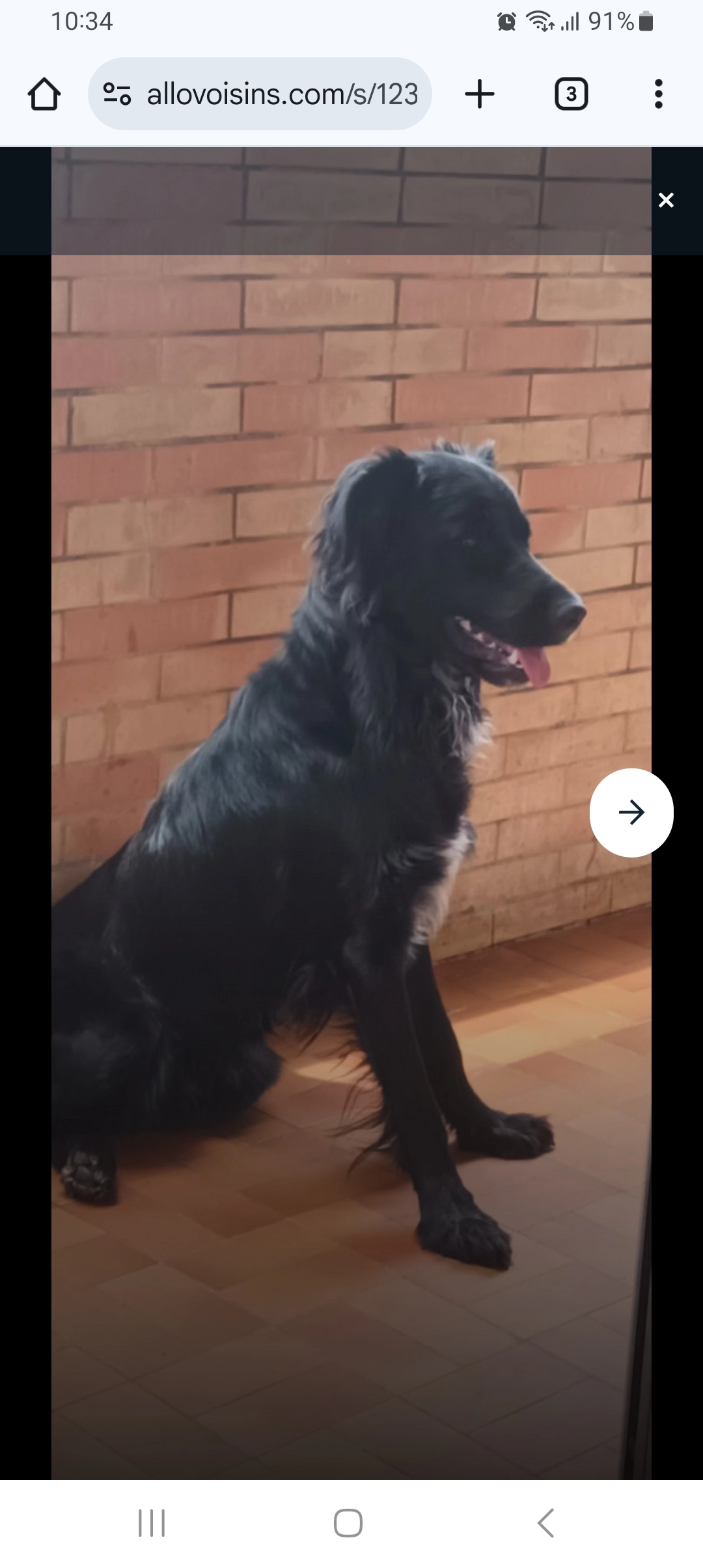 Paco - Les Hauts de Nîmes, Nîmes