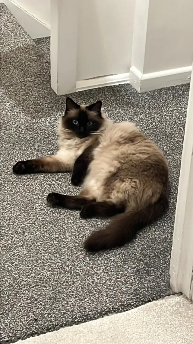 Elle - Wesley Croft, Leeds