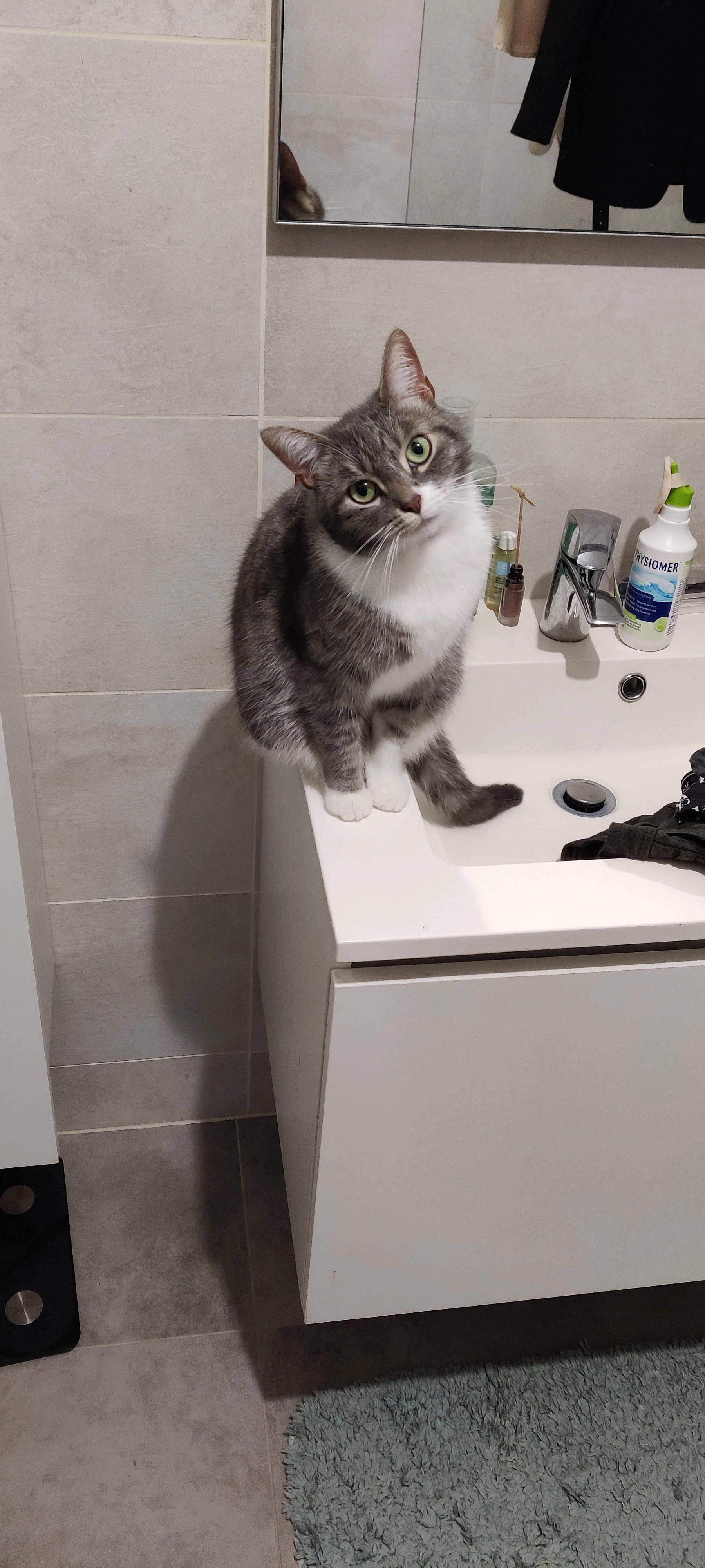 Iris - Rue Des Bergeronnettes, Marche-en-Famenne