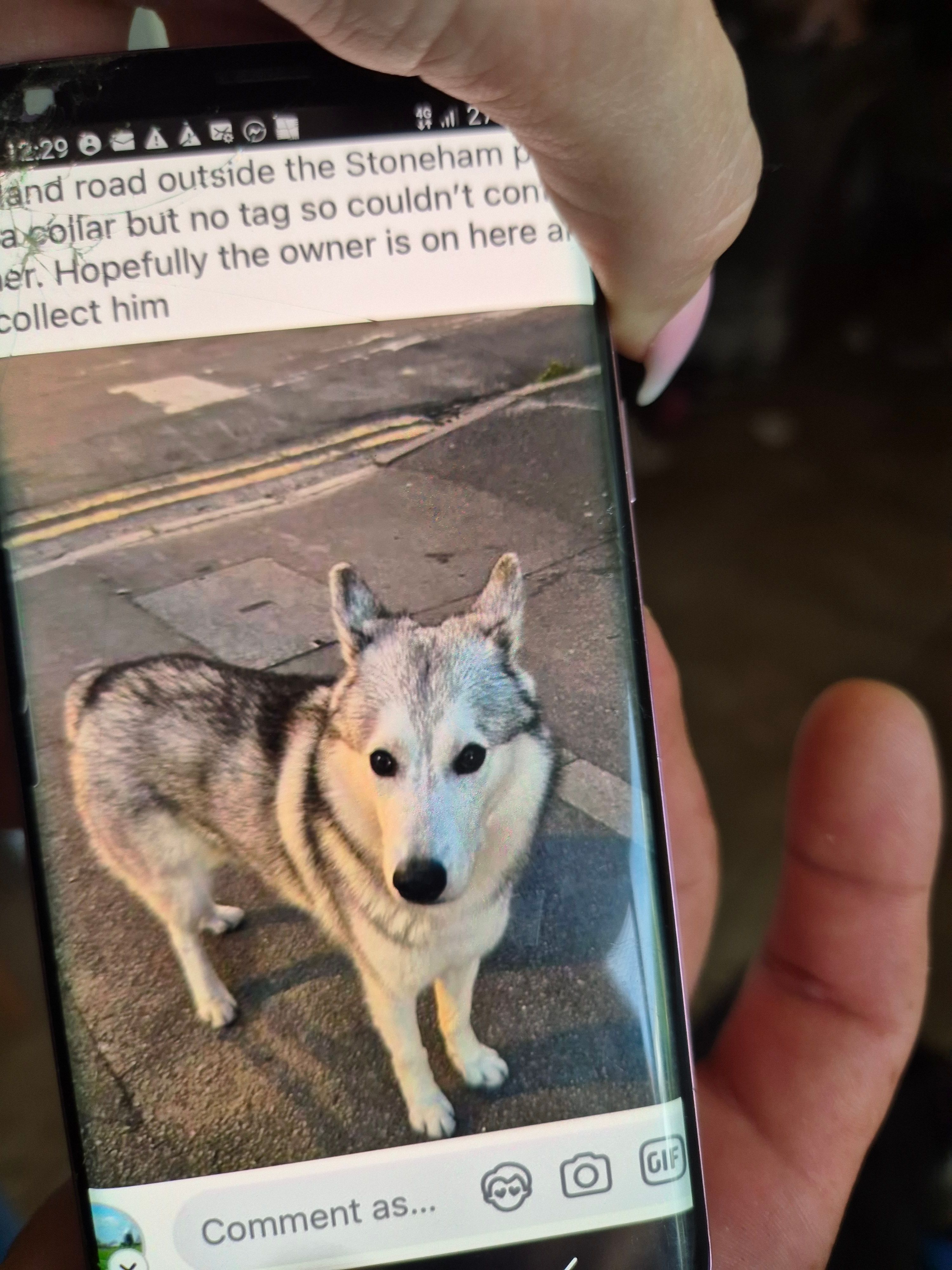 Shin!   - Stoneham Road, Hove