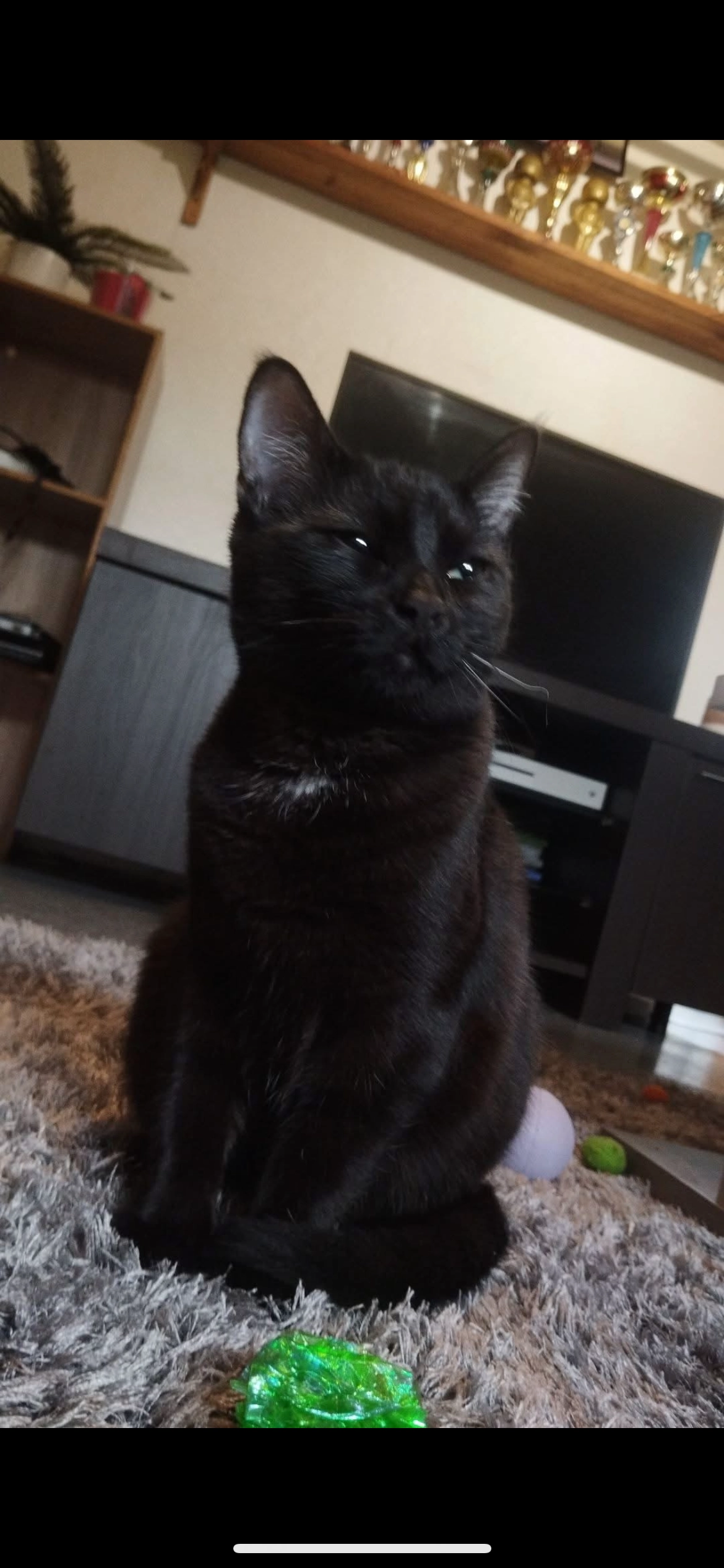 Loki - Rue Du Docteur Chopard, Pontarlier