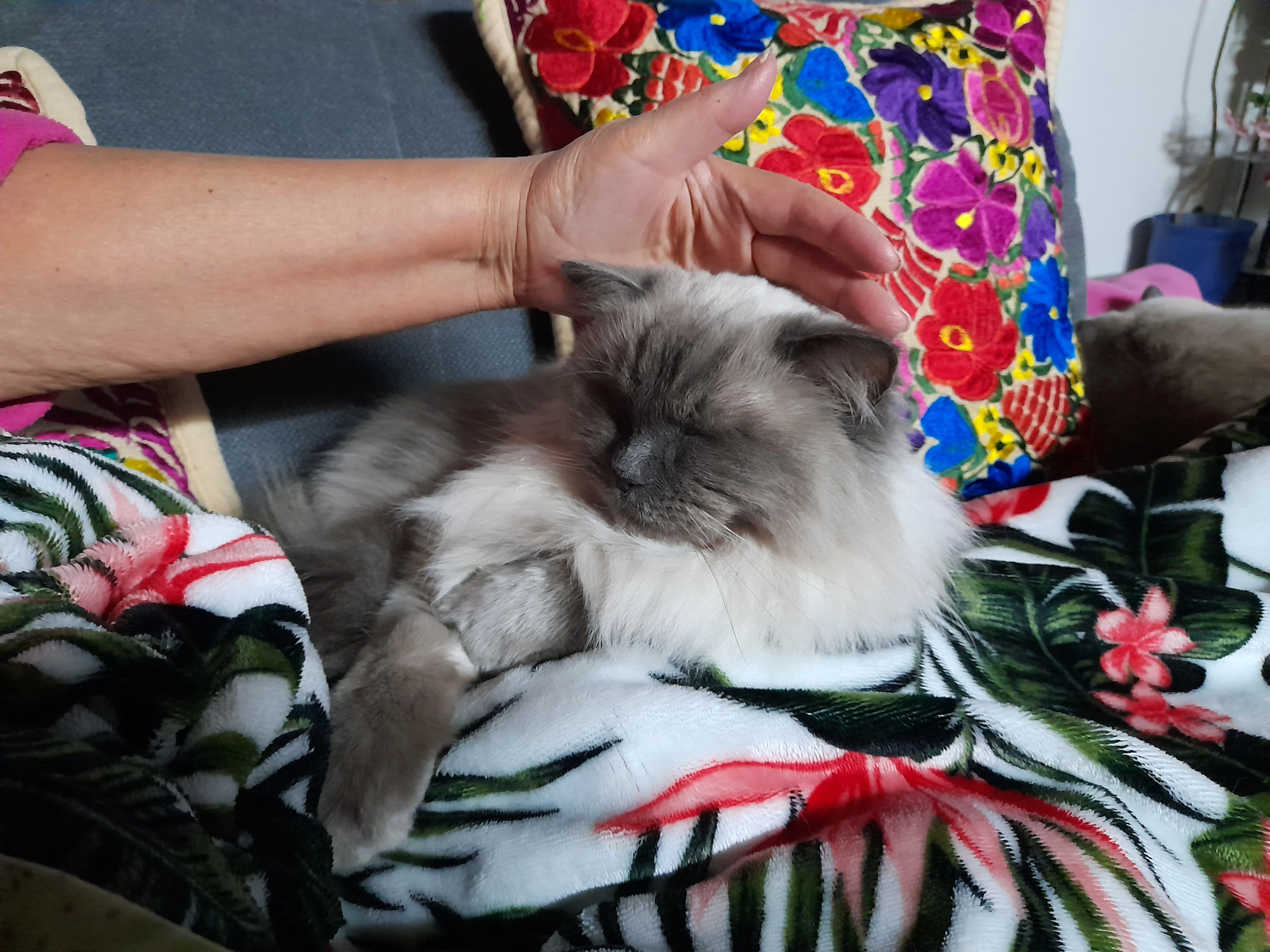 CHILI - Schlesienstraße, Weilerbach