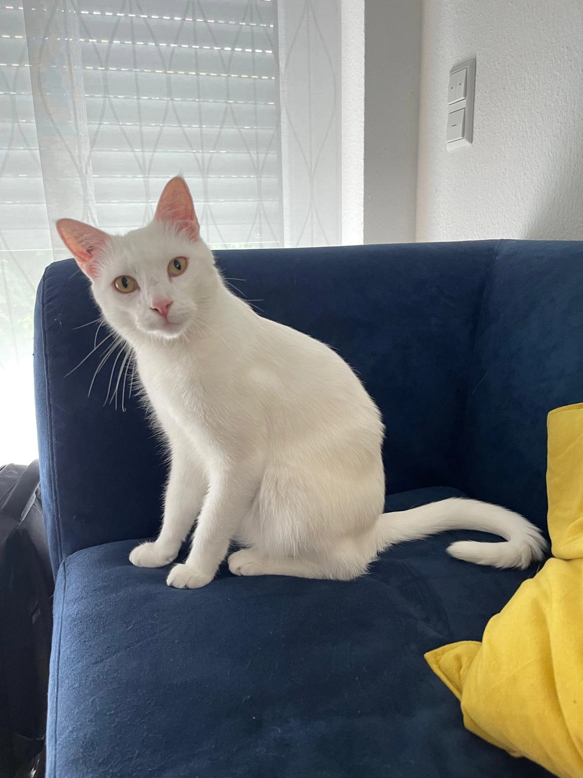 Gin - Gustav-Schönleber-Weg, Ostfildern