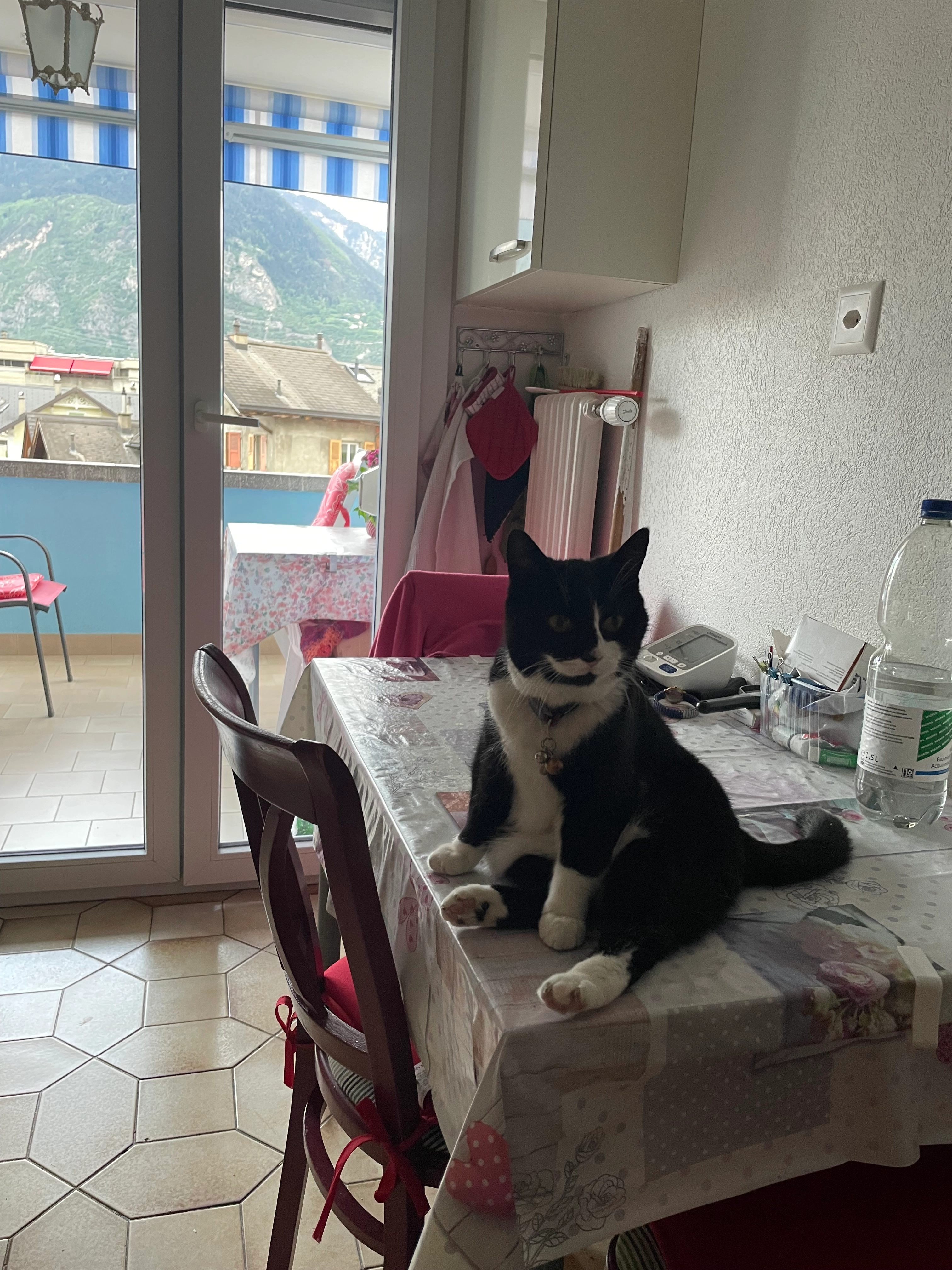 Cornette - Ruelle du Manoir 1, Sierre