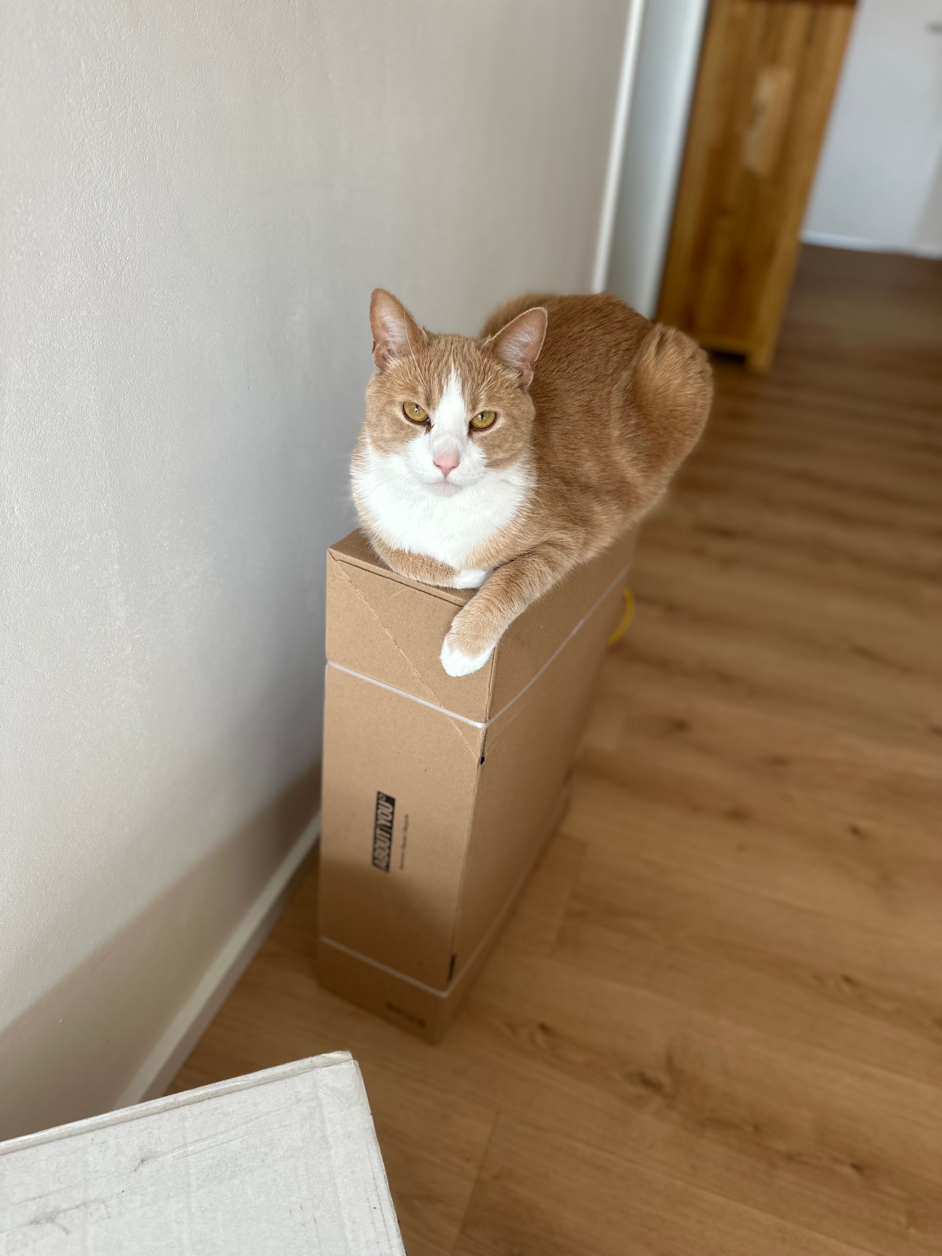 Thor - Am Mühlpfad, Werneck