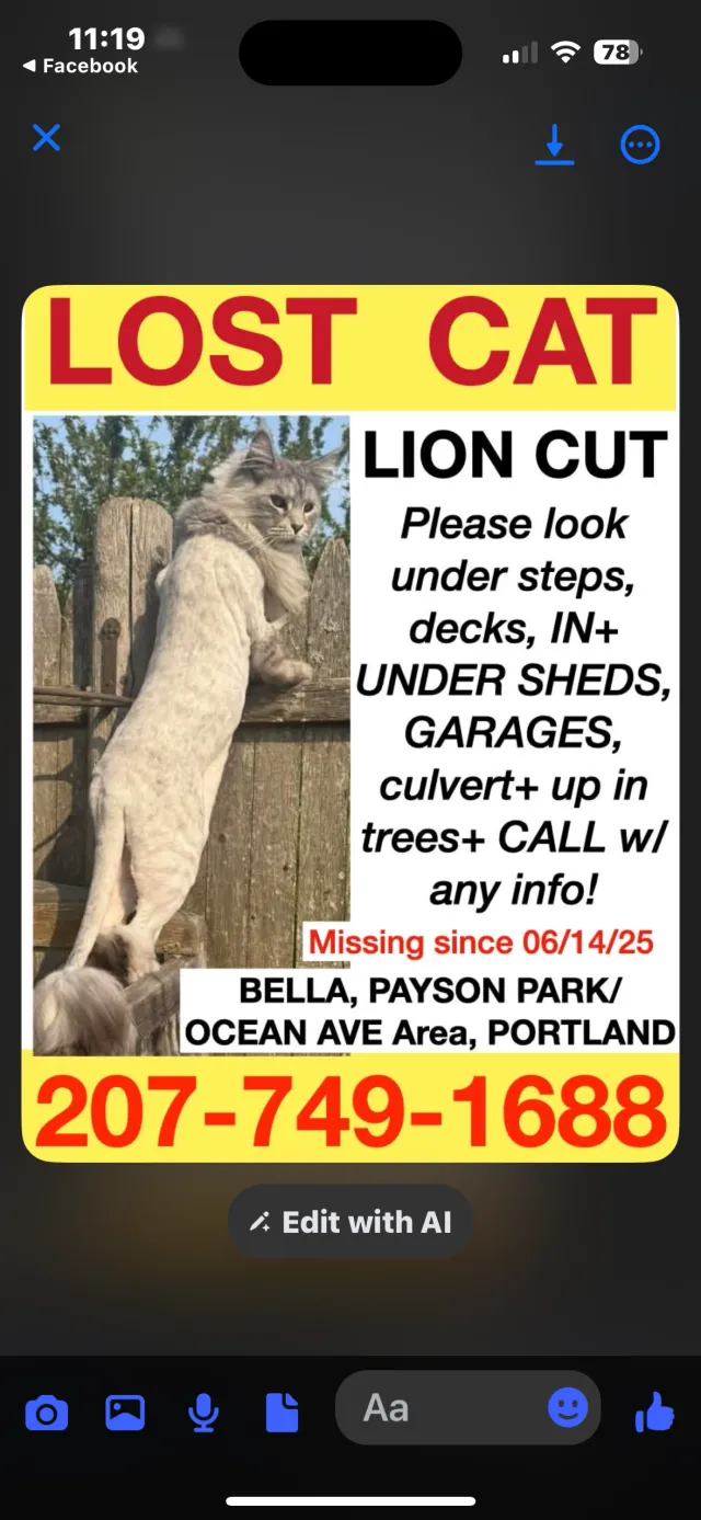 BELLA - 415 Ocean Ave, Portland