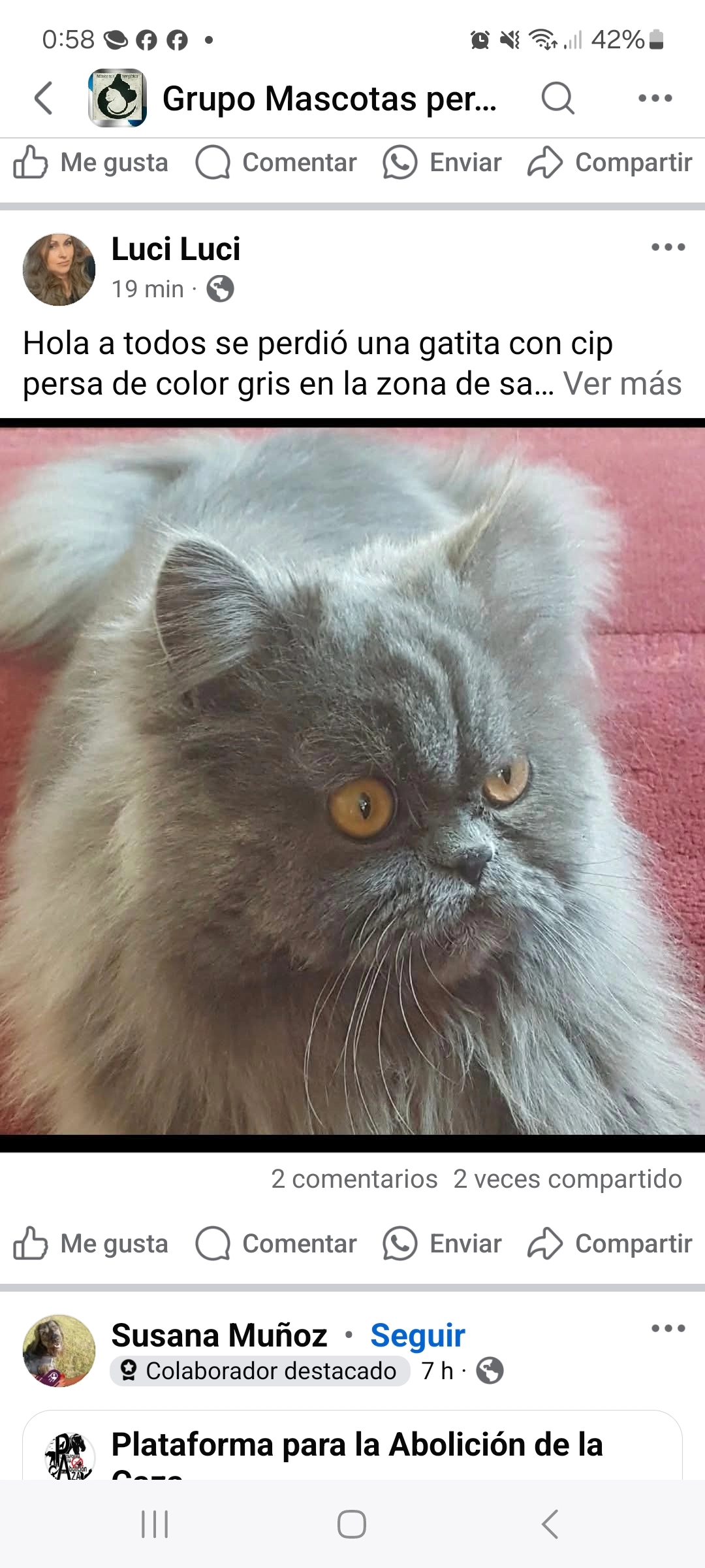 Pusy - Rúa do Rumbo, Fisterra