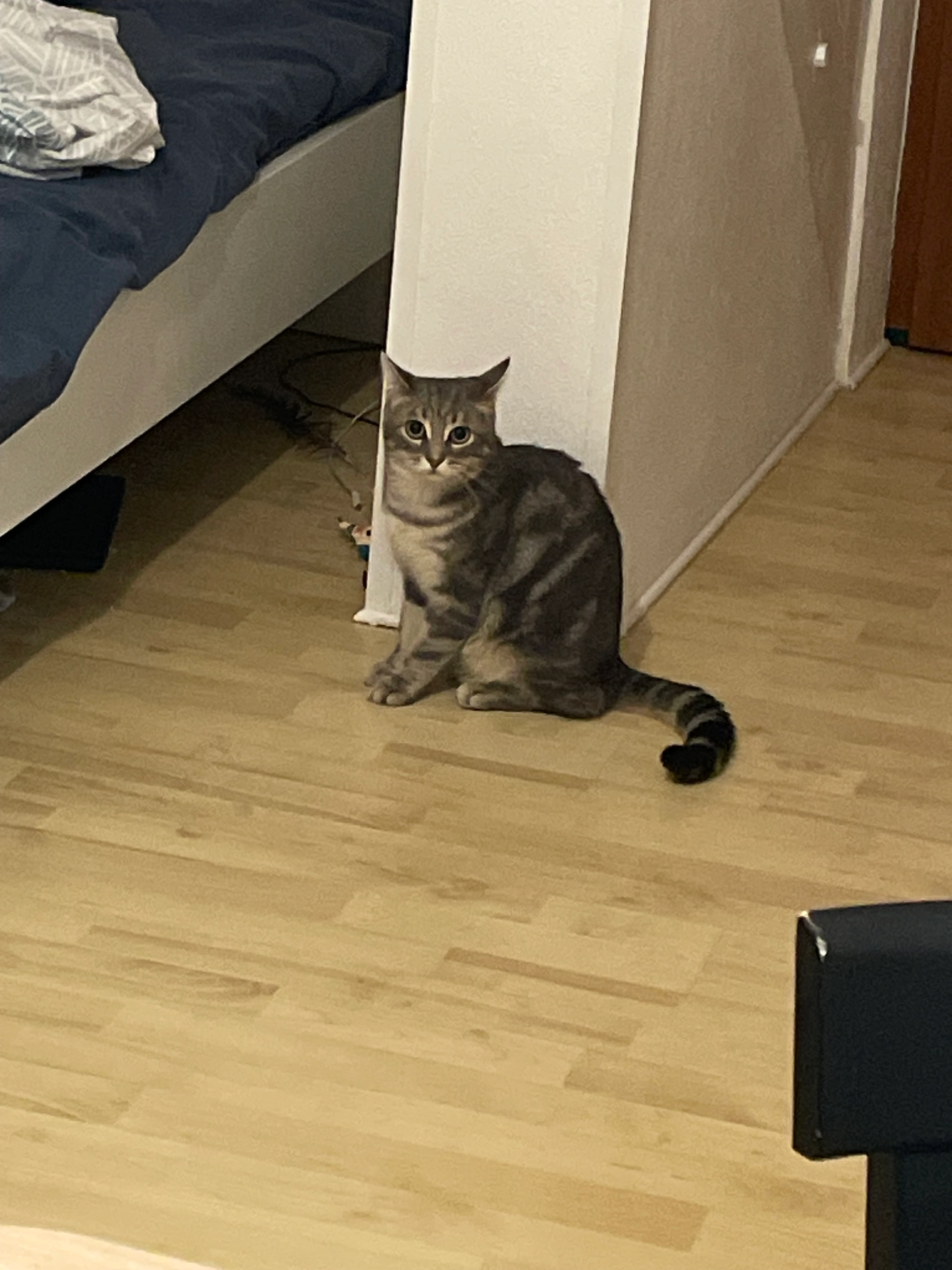 René - 12 Rue du Docteur Claude Mairesse, Saint-Quentin