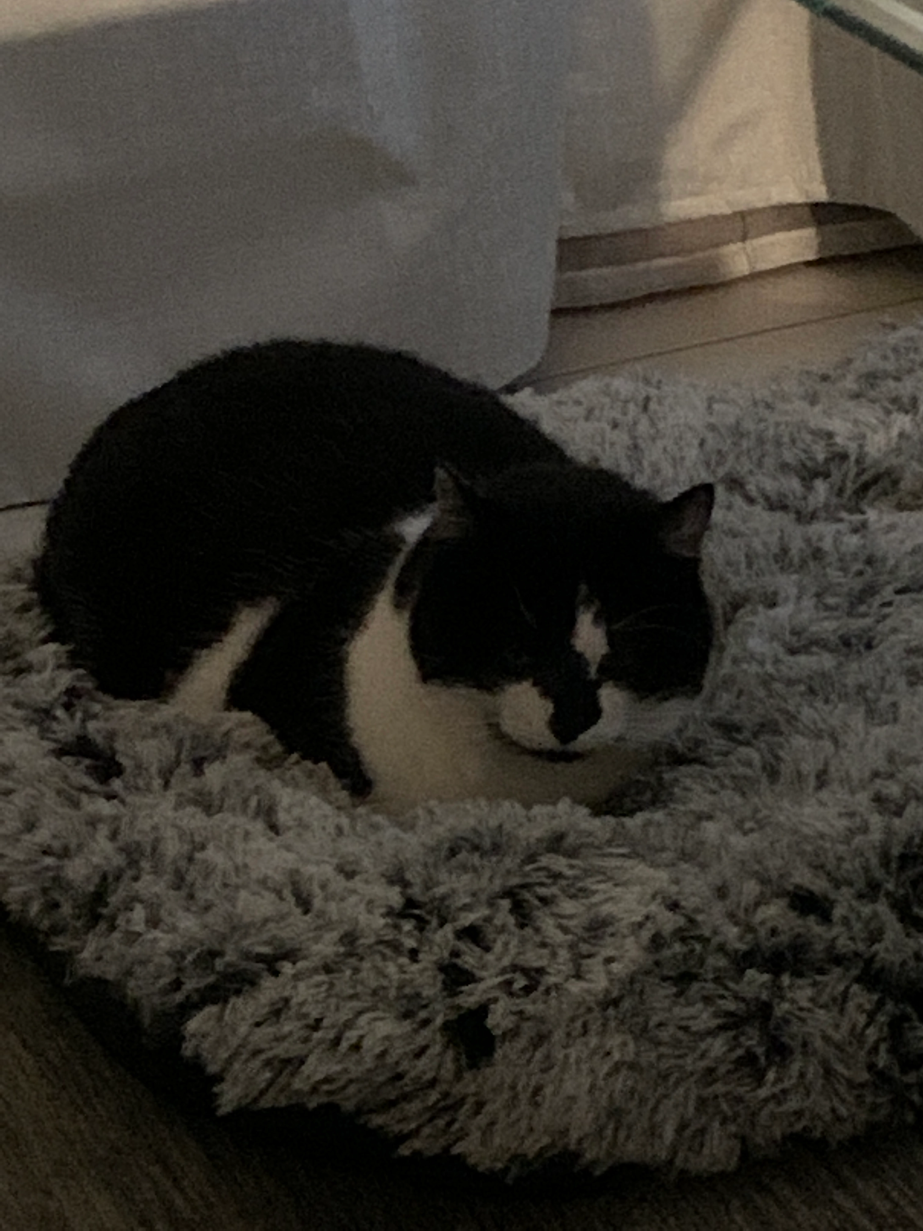 Minette - Faverges Nord Ouest, Faverges-Seythenex