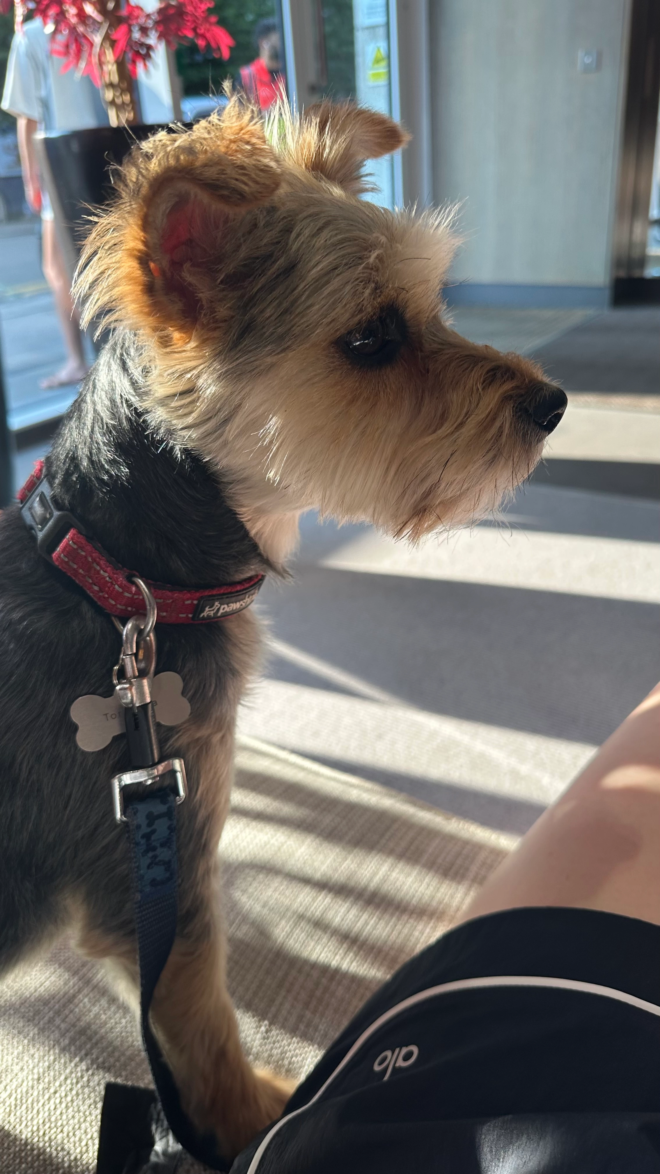 Tora - The Boulevard, London