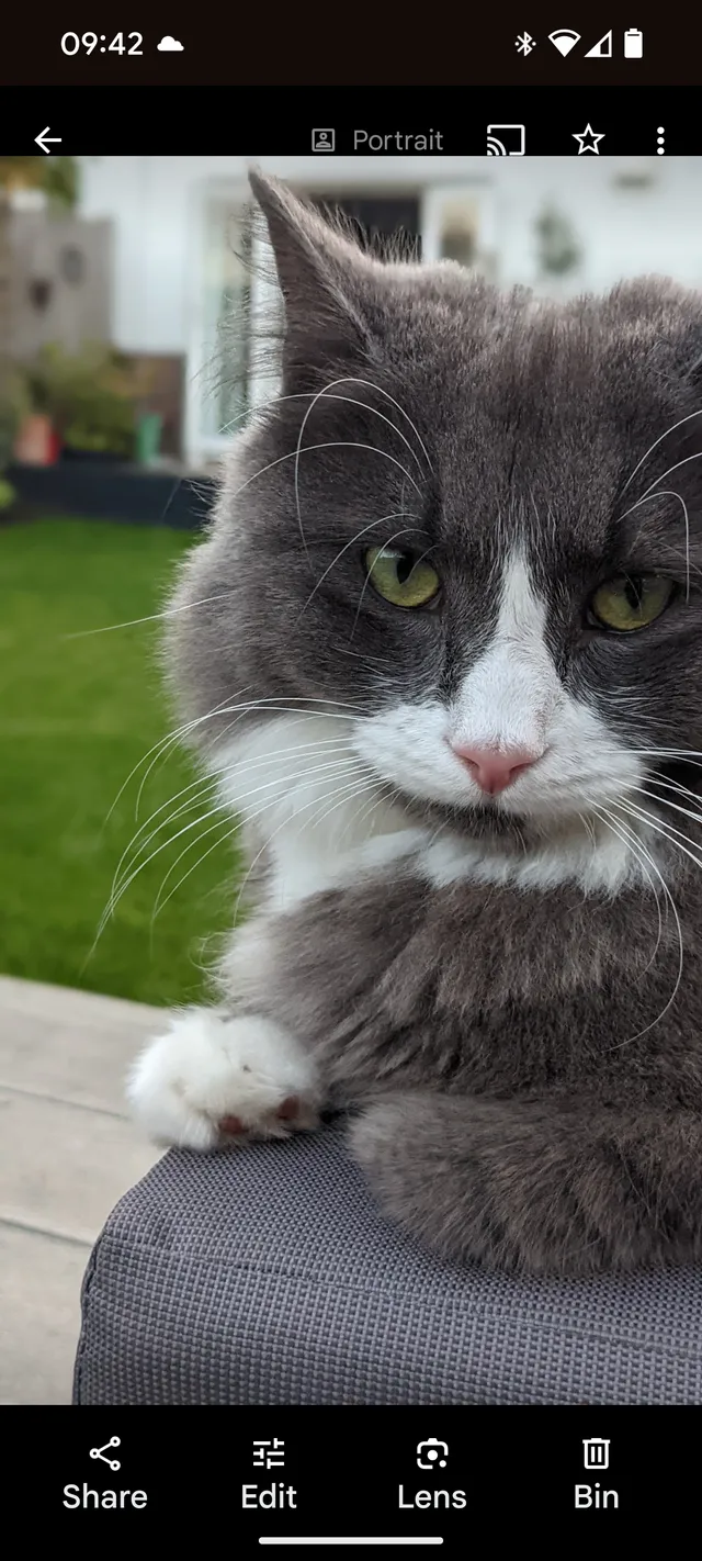Fozzy - St. Keyna Avenue, Hove