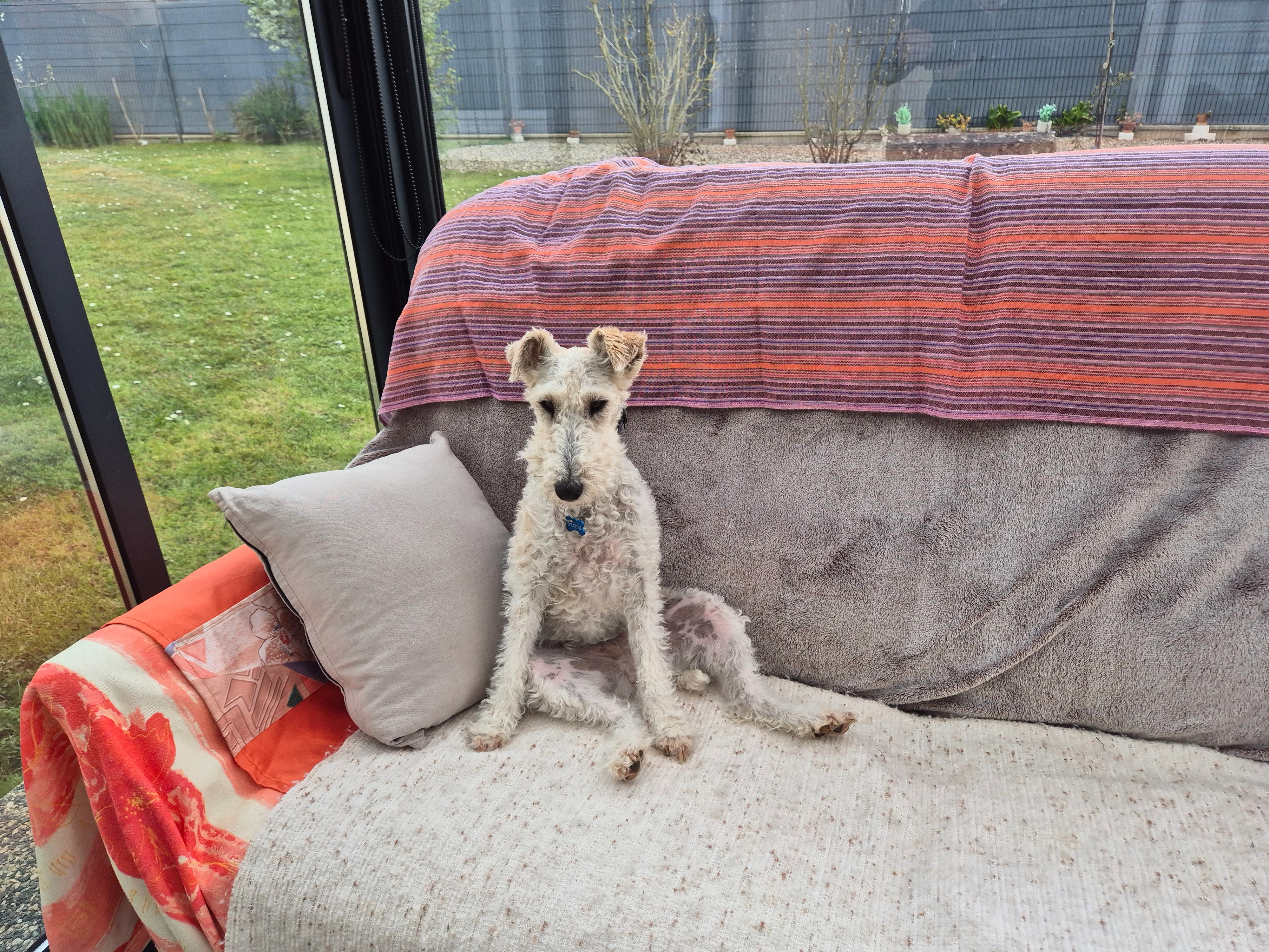 Sologne - Rue Paul Gauguin, Mignaloux-Beauvoir