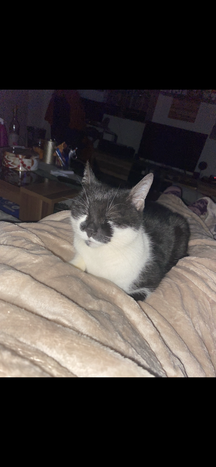 Blacky - Plößberger Straße, Floß