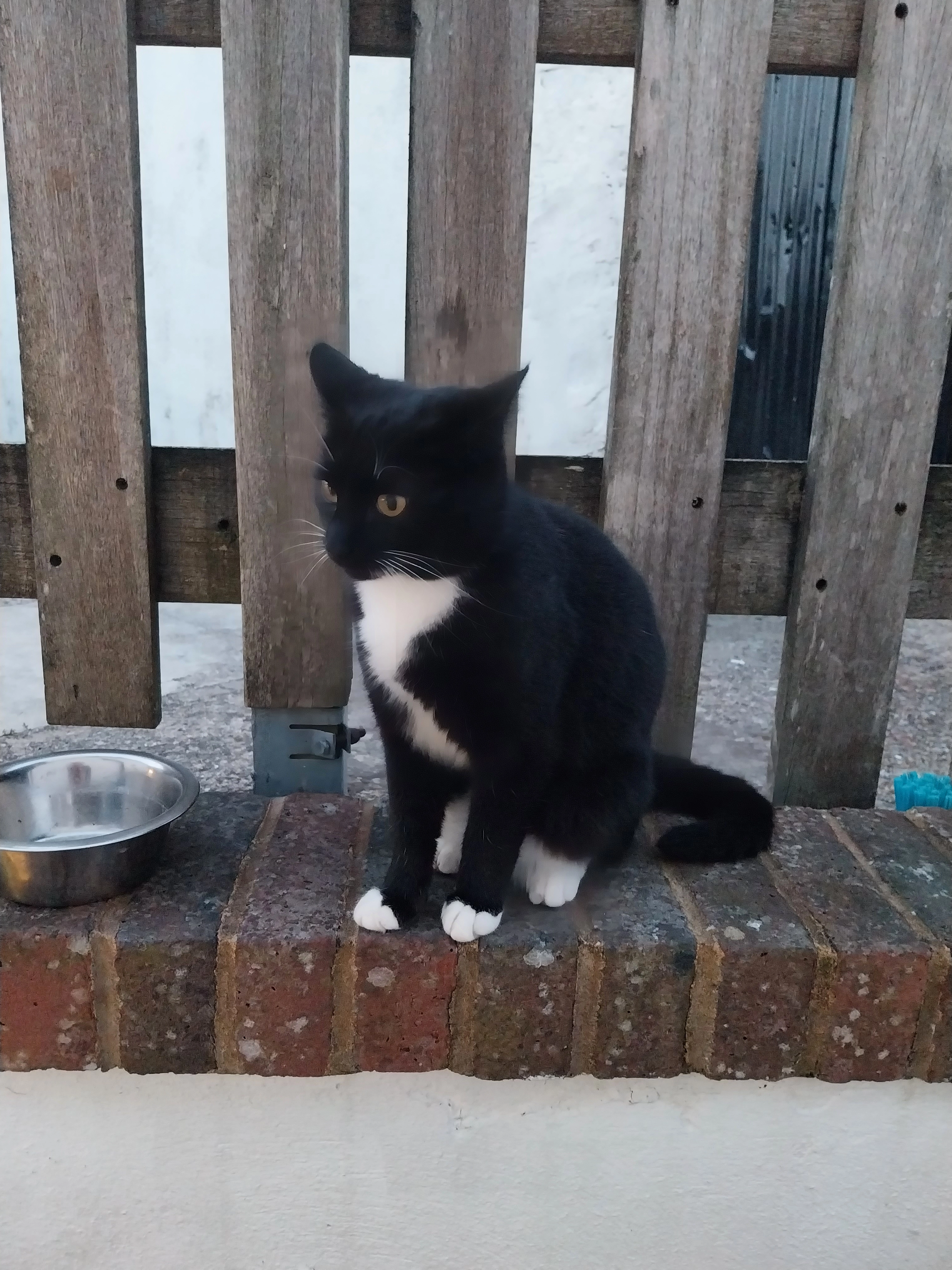 Fatima - BN45 7, Brighton