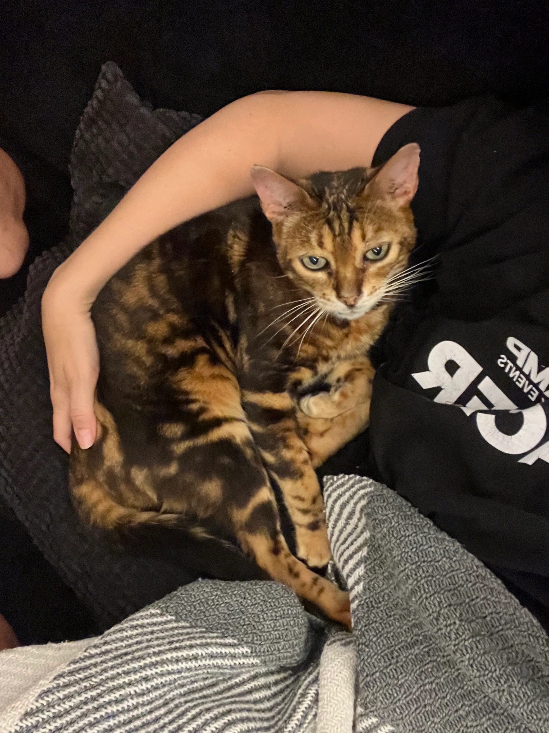 Aramis - Gieraboden, Zwischenwasser