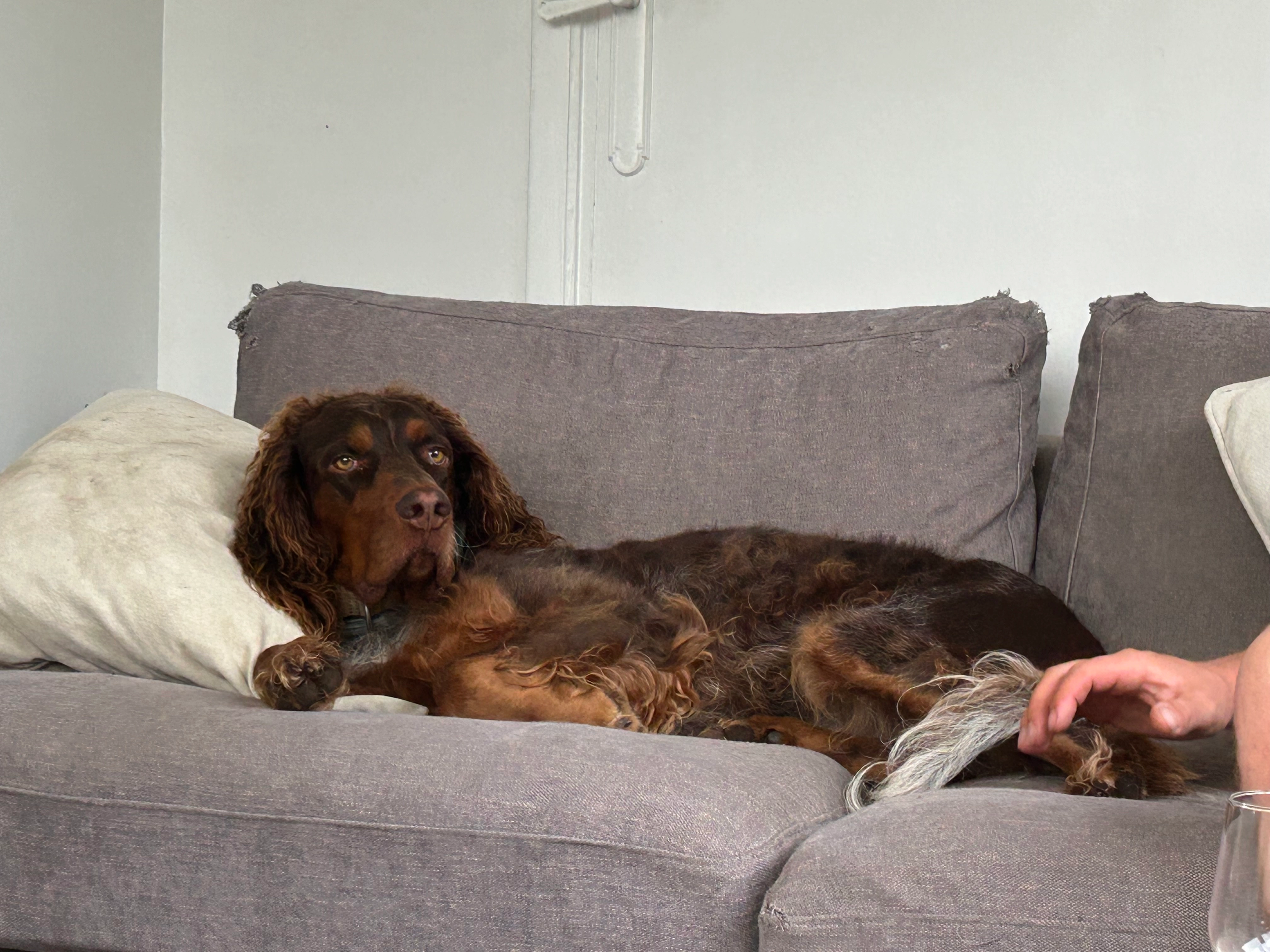 Tupac - 11 Chemin de la Poussière, Sailly-lez-Lannoy