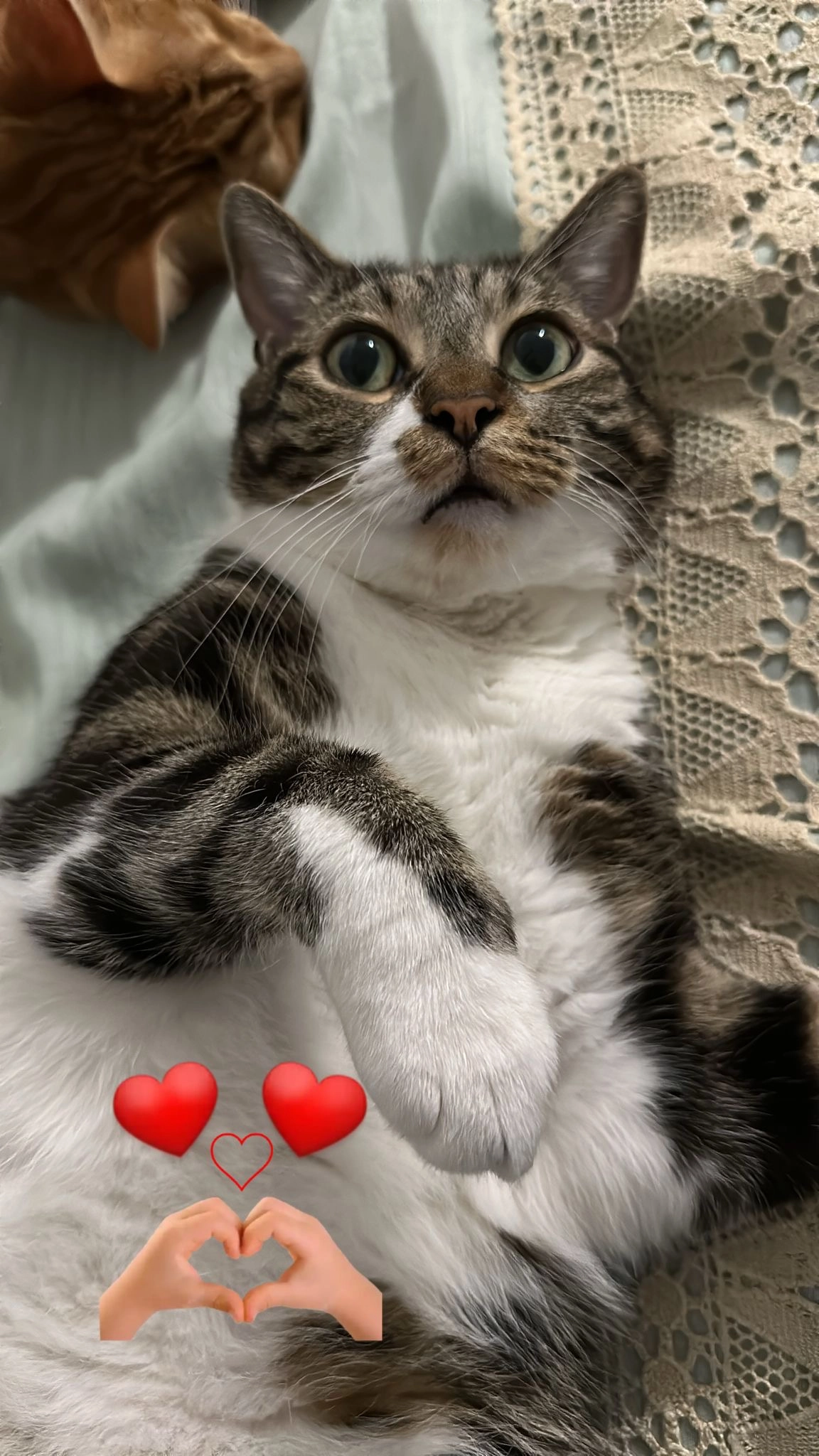 Monk - 23 Rue Roger Gibrat, Drancy