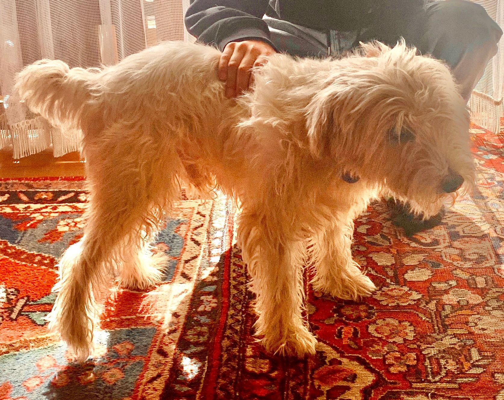 Thilo - Forsthausstraße, Dreieich