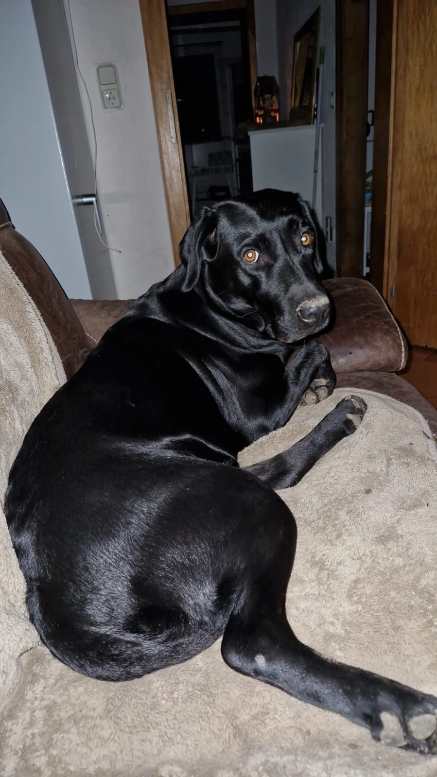 Lilly - Chemin Rural 97, Loupian