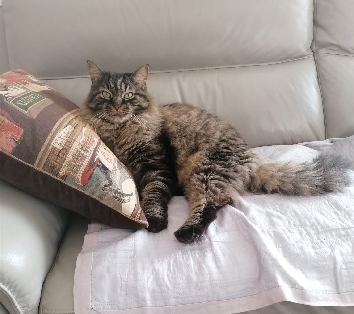 Smokey - 321A Rue de Gex-la-Ville, Gex