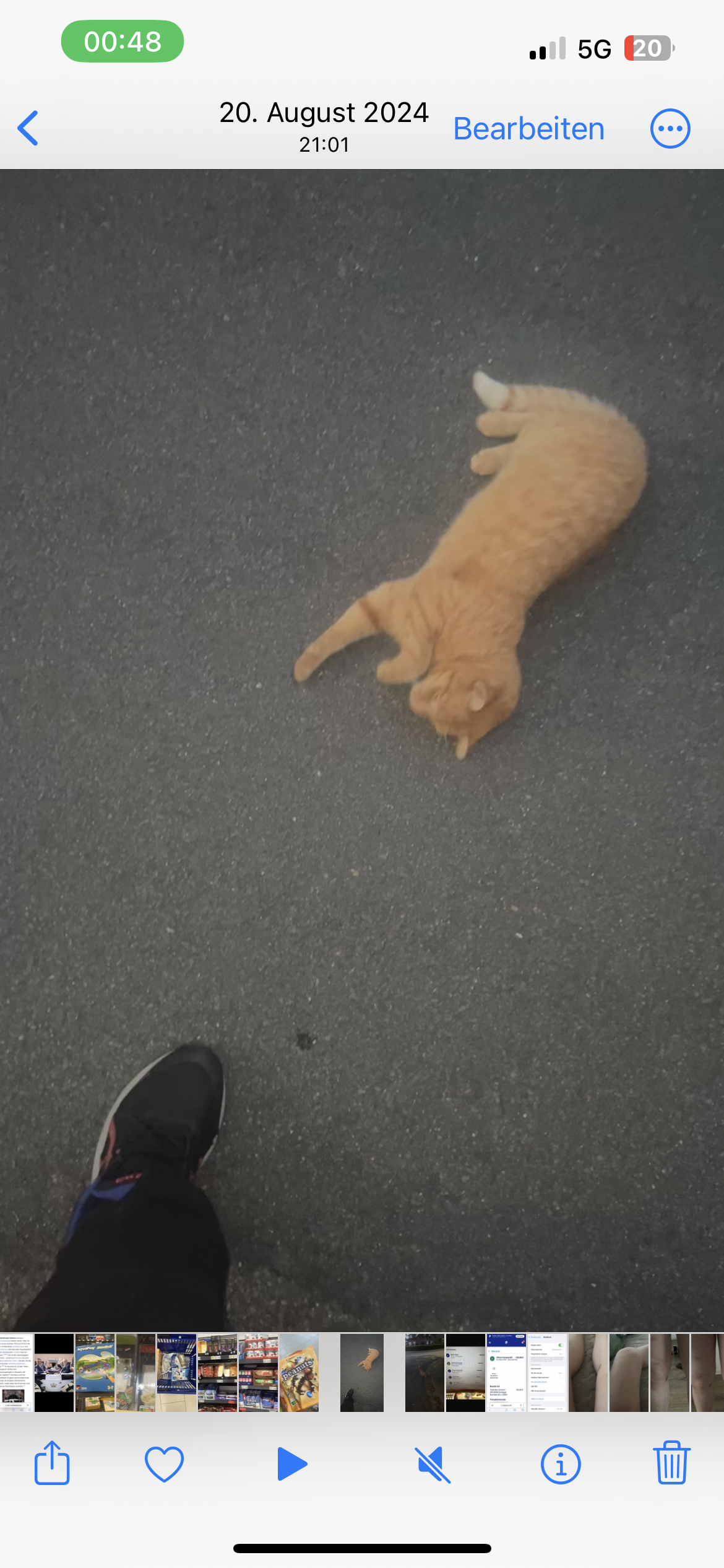 Garfield - Bachstraße, Vechta