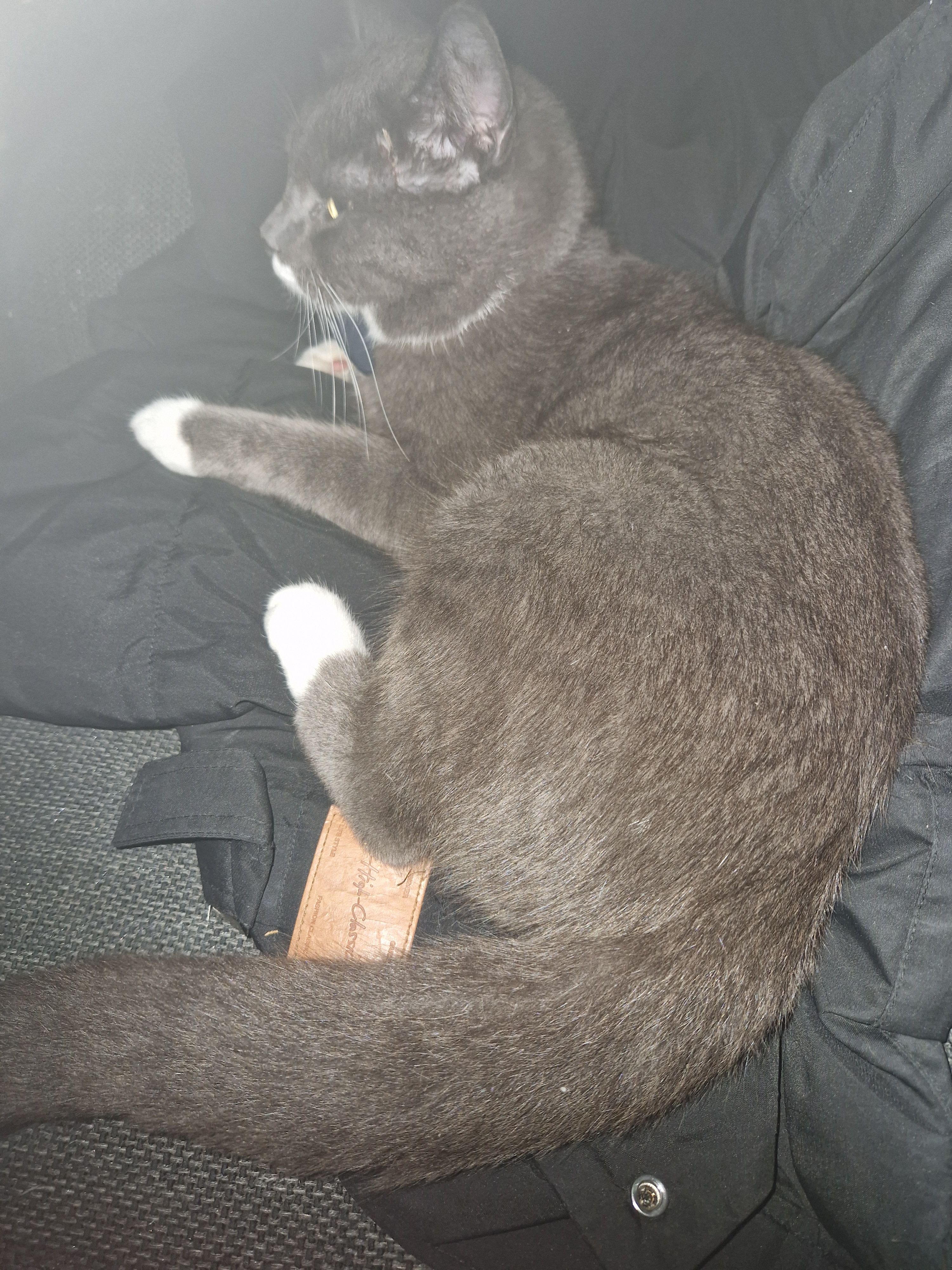 Lijlo - Chemin De Dagen, Saint-Germain-du-Puch