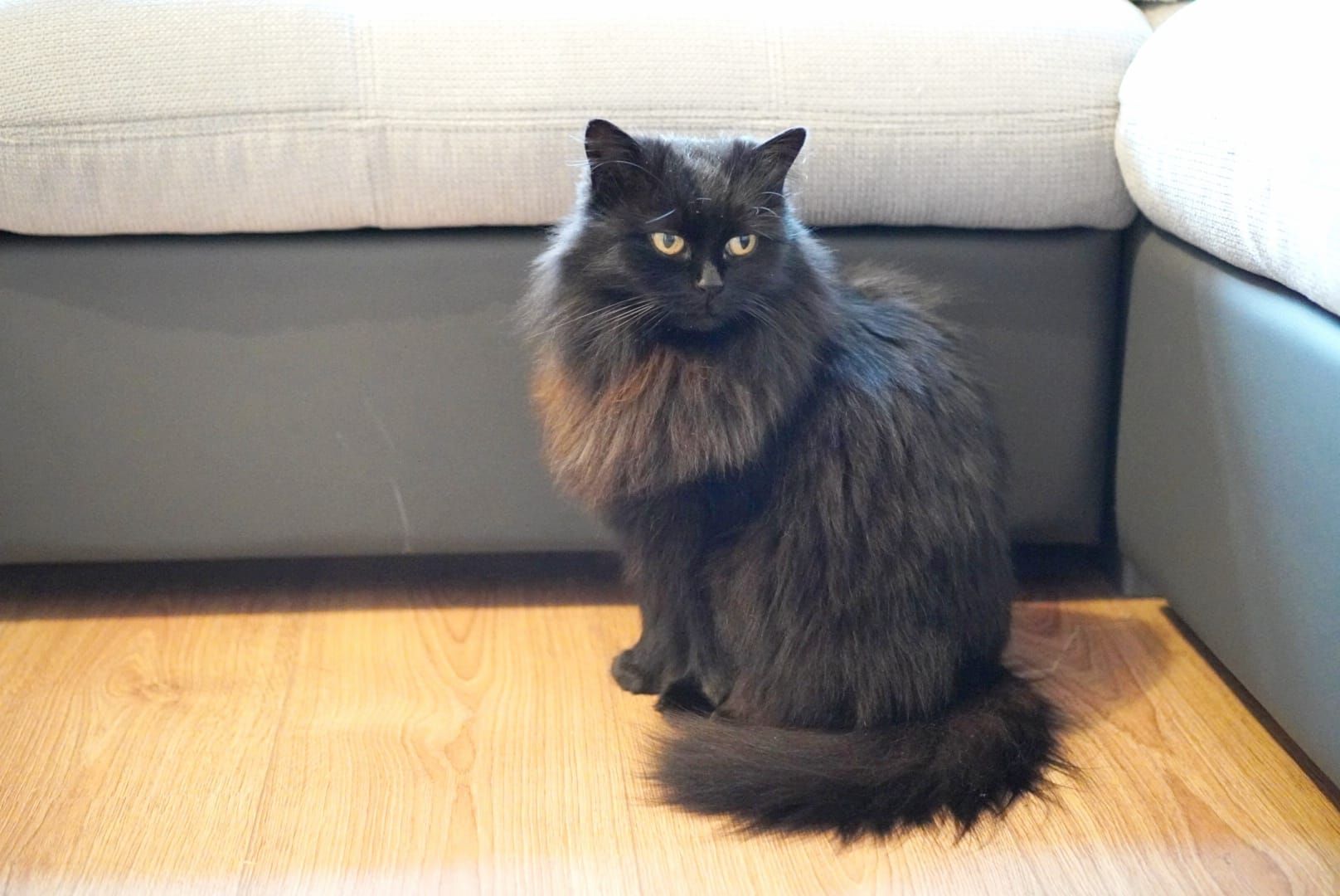 Mary - Erich-Pfaff-Straße, Bautzen