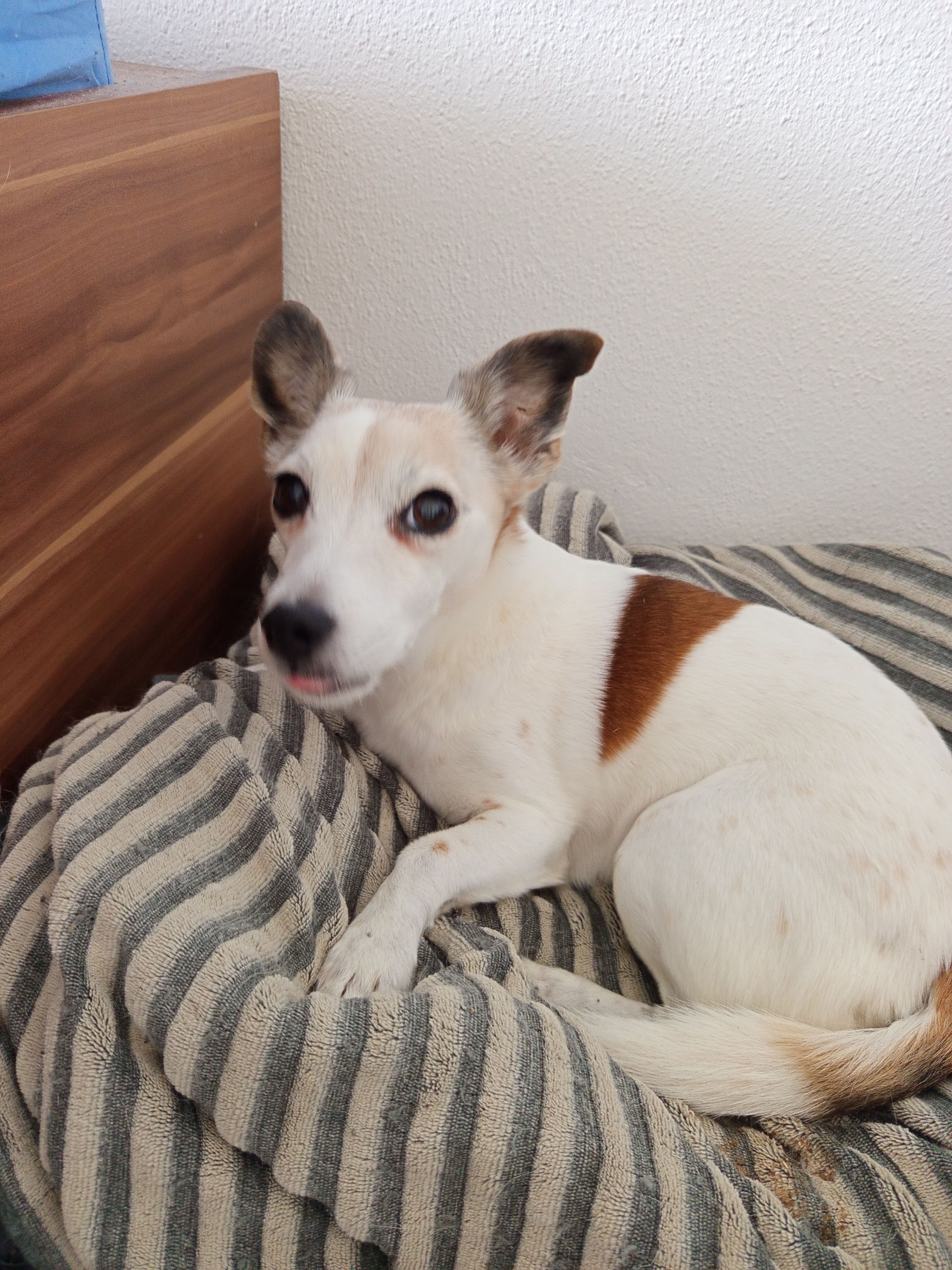 Fetz - Waldstraße, Türkheim