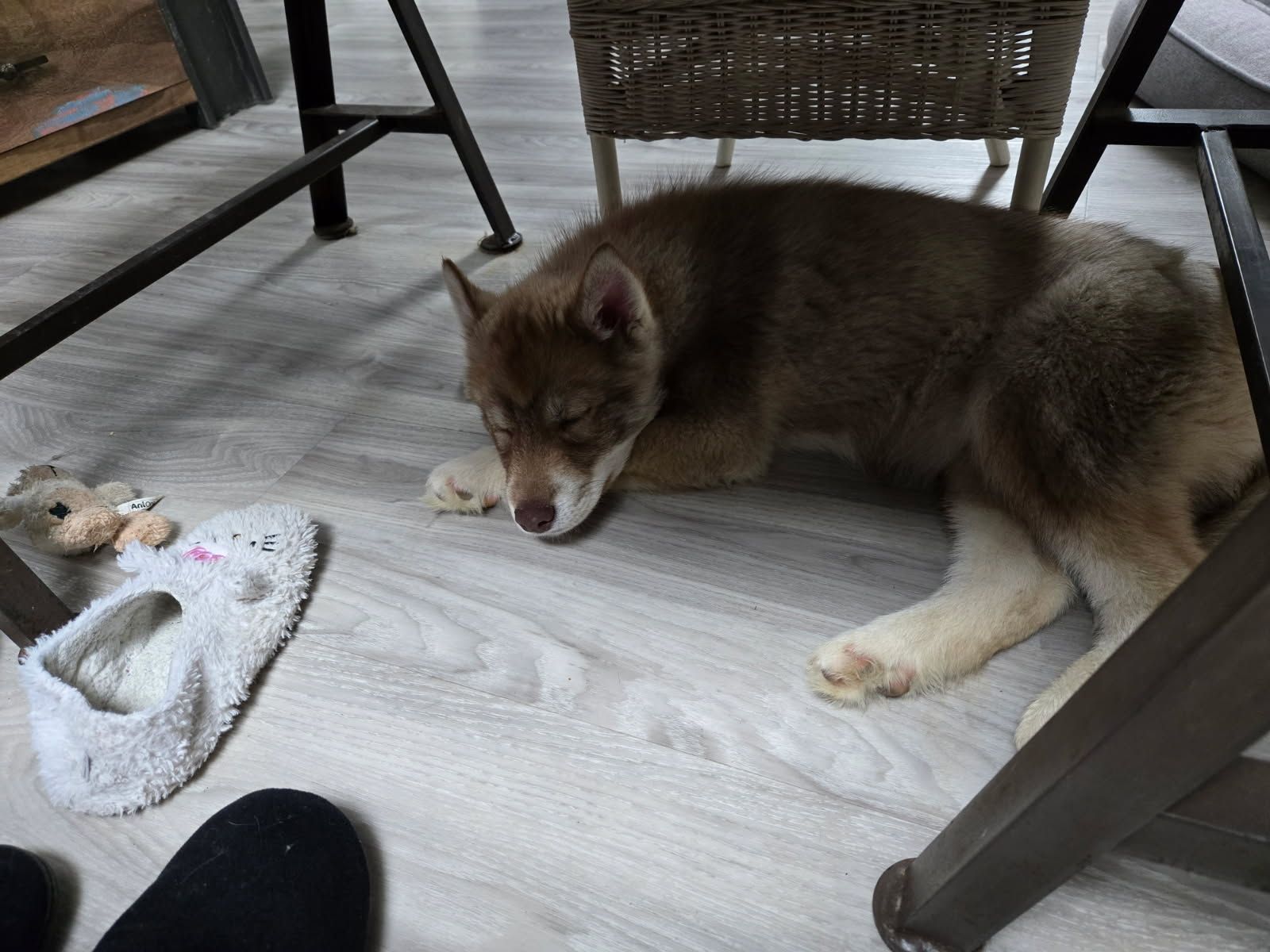 Sky - Rue des Moulins Neufs, Jouy