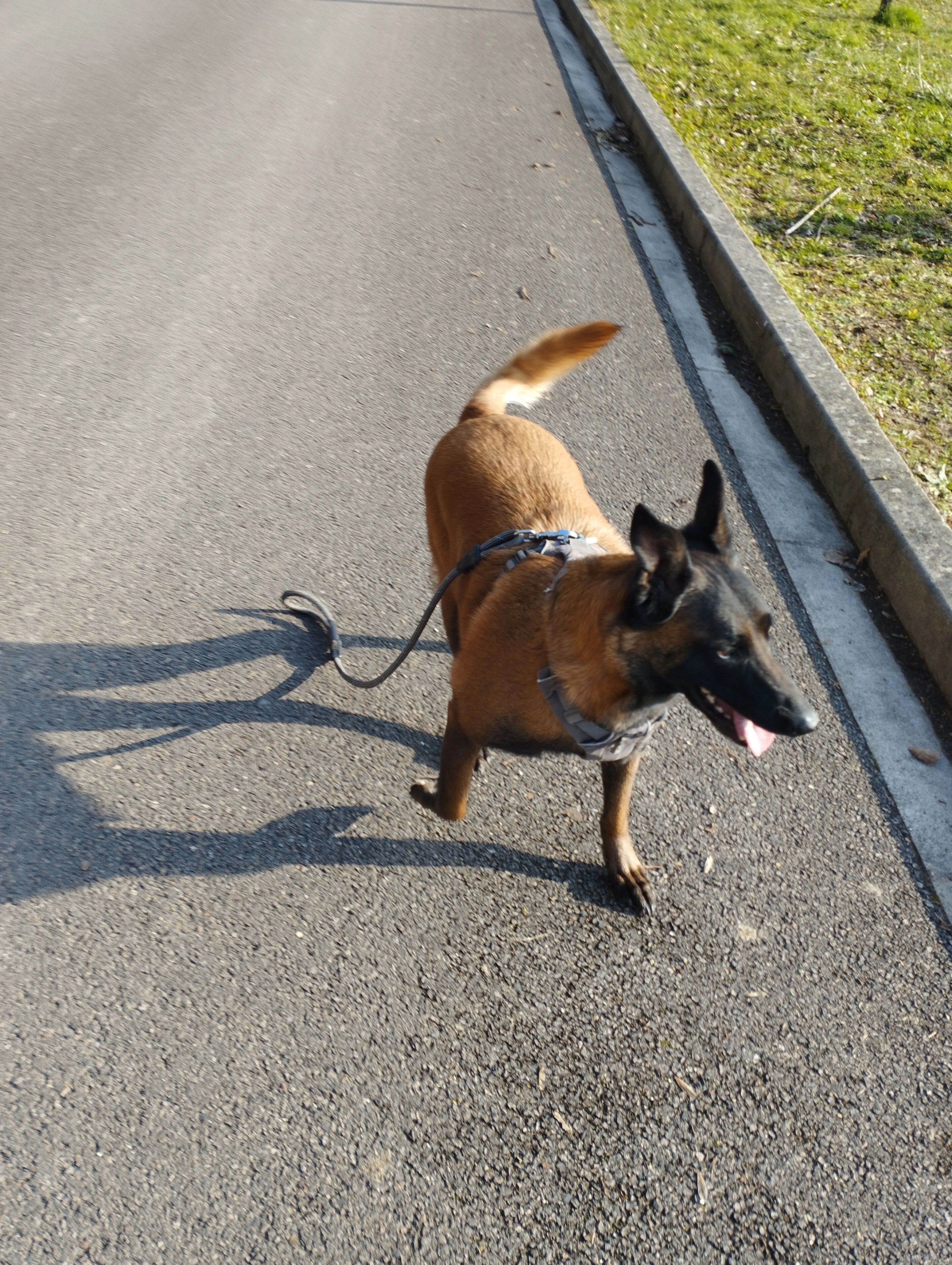 Romy - Route d'Éverly, Éverly