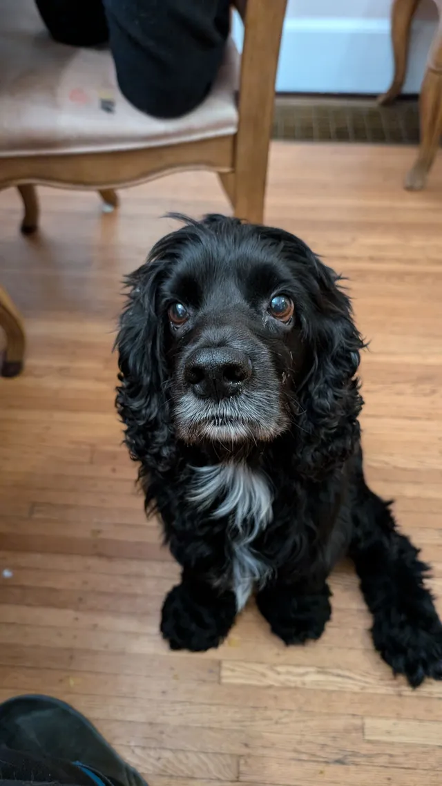 Samwise - 5 Marlborough Rd, Rochester
