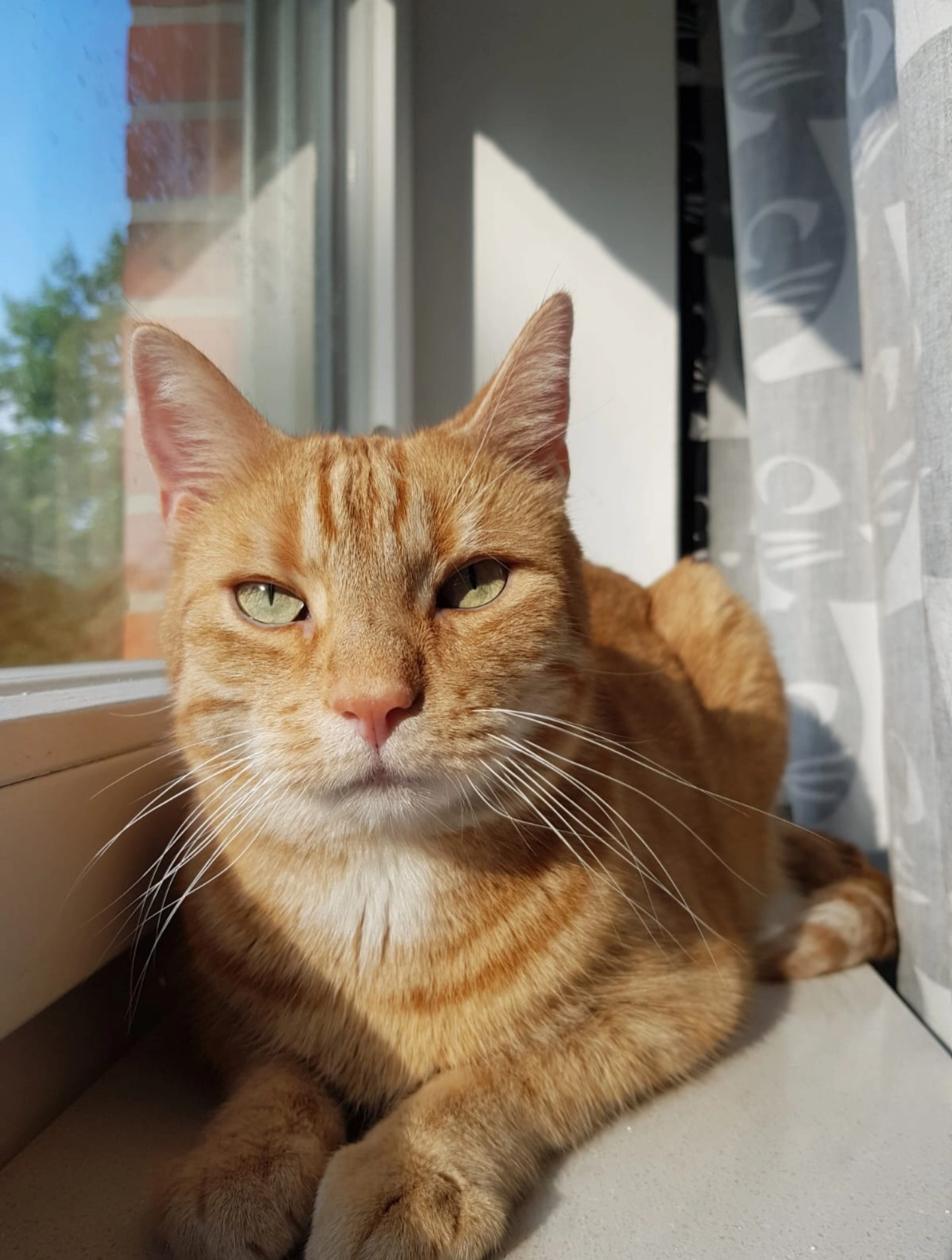 Mitch - Alt Ohlenstedt, Osterholz-Scharmbeck