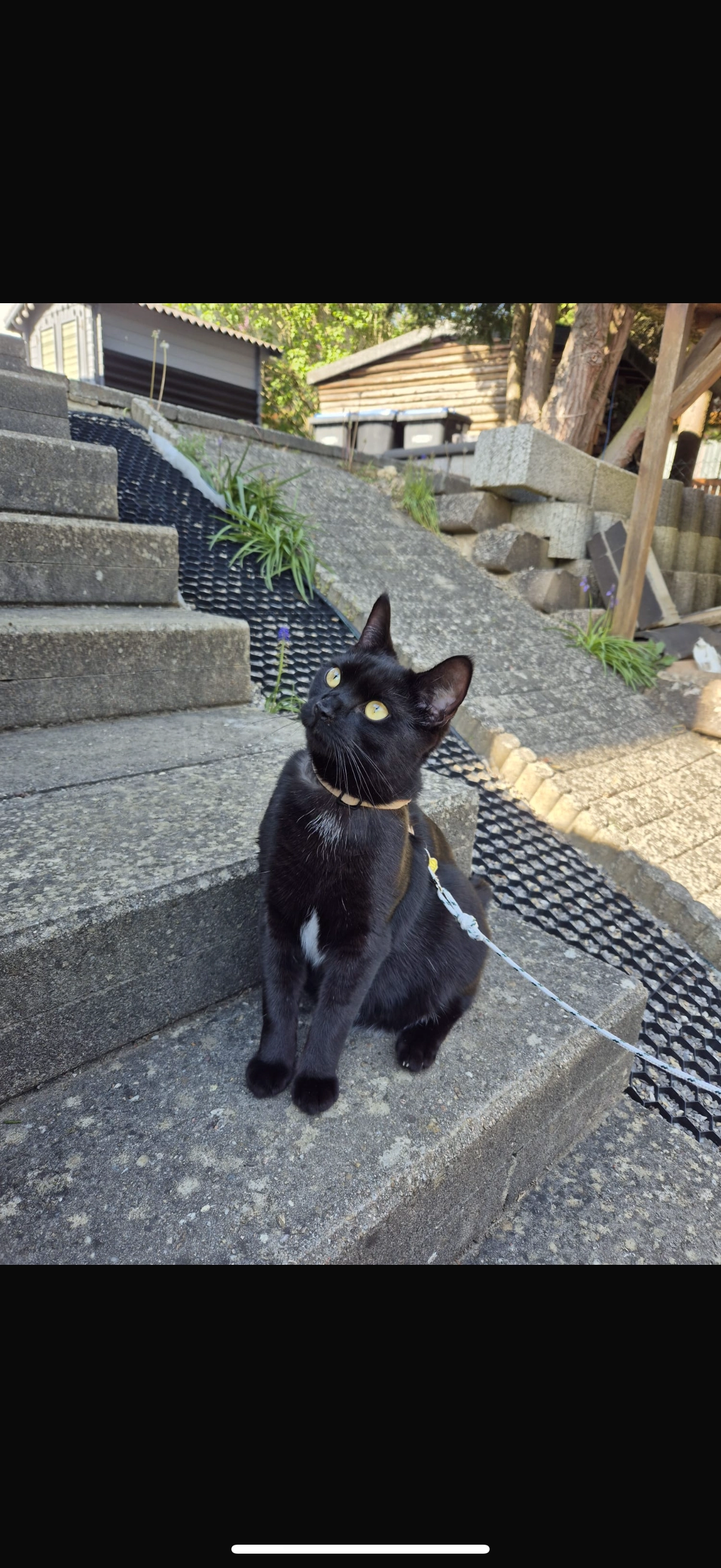 Pablo - Eberhardstraße, Horb am Neckar