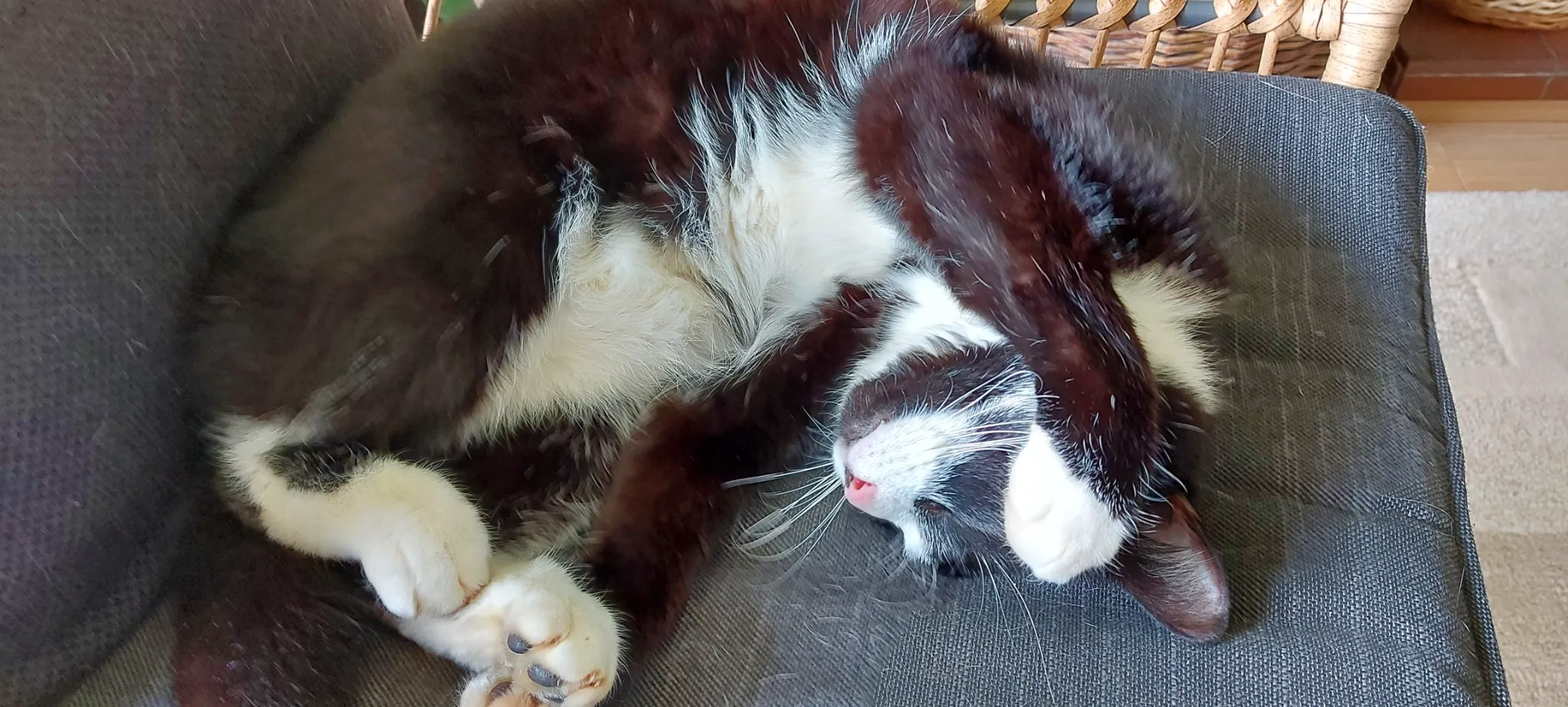 Flint - A30, Exminster