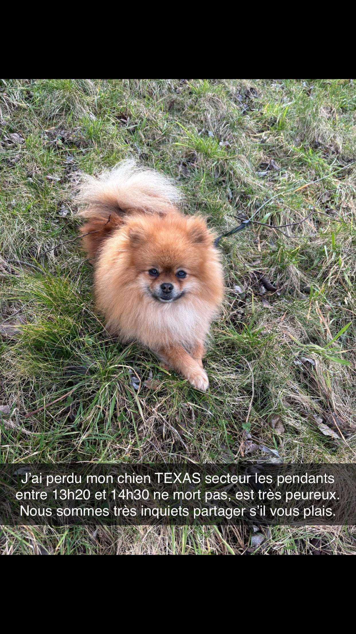 Texas - Route De Besançon, Lons-le-Saunier