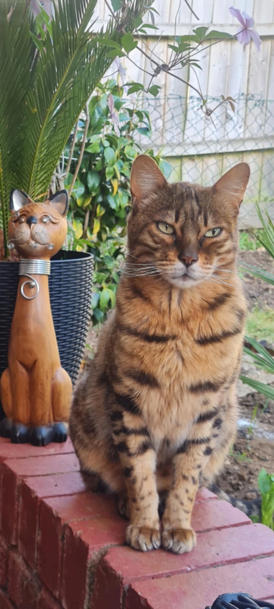 gucci  - Speedwell Road, Ipswich