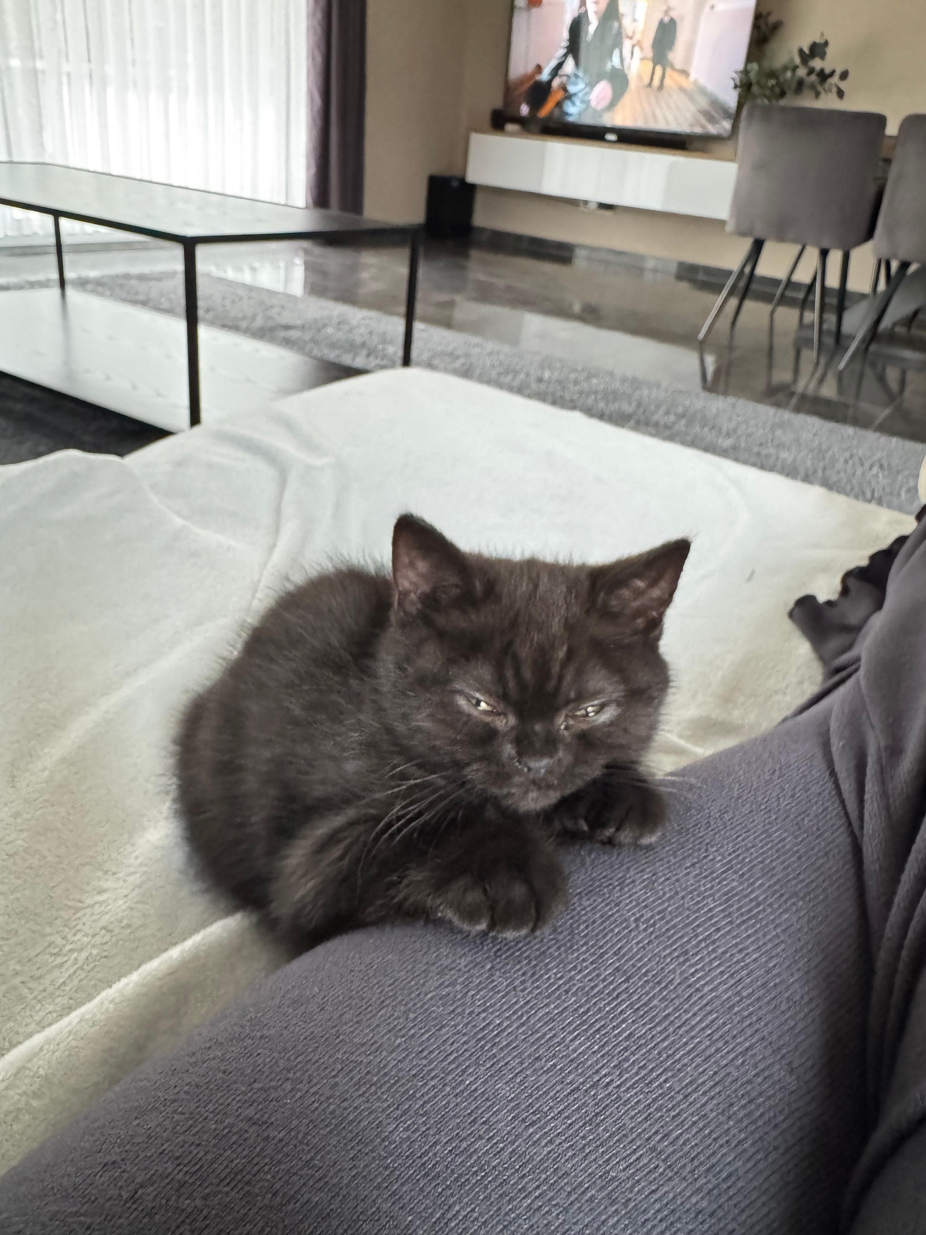 Parla - Nürnberger Straße, Eckental