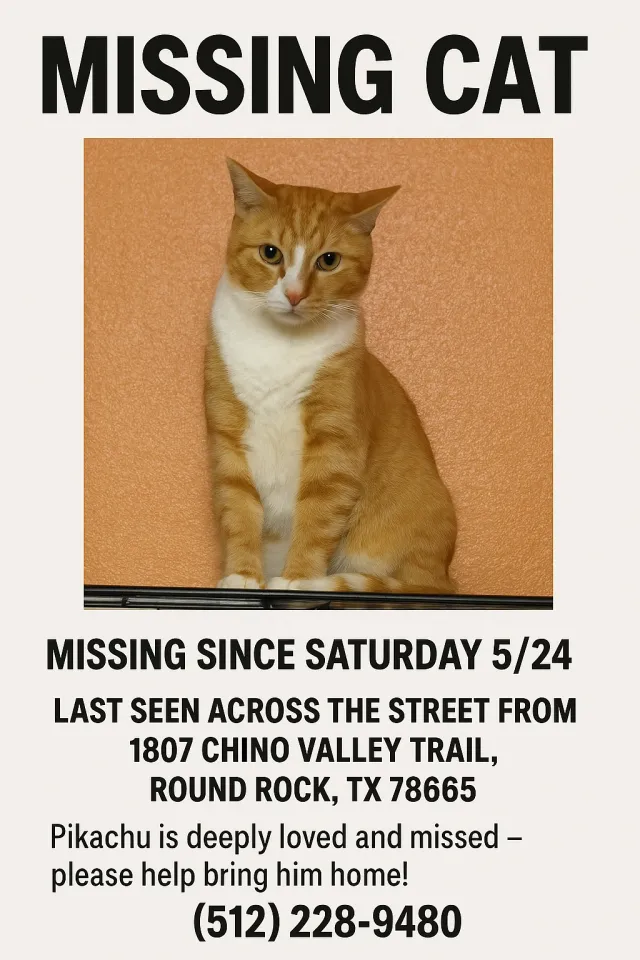 Pikachu  - 1807 Chino Valley Trl, Round Rock