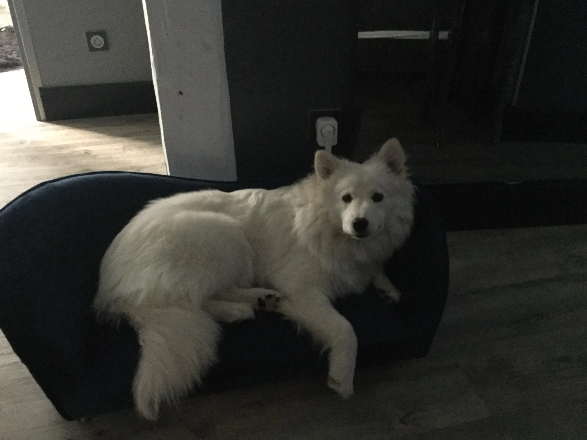 Mia - Chemin Du Château, Cressin-Rochefort