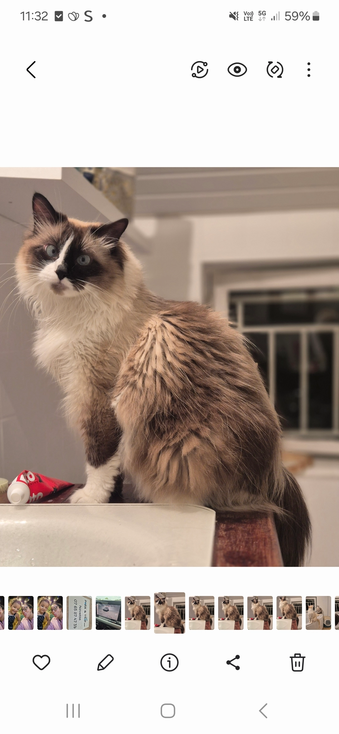 Maelo - 11 Rue du Pouy, Dax