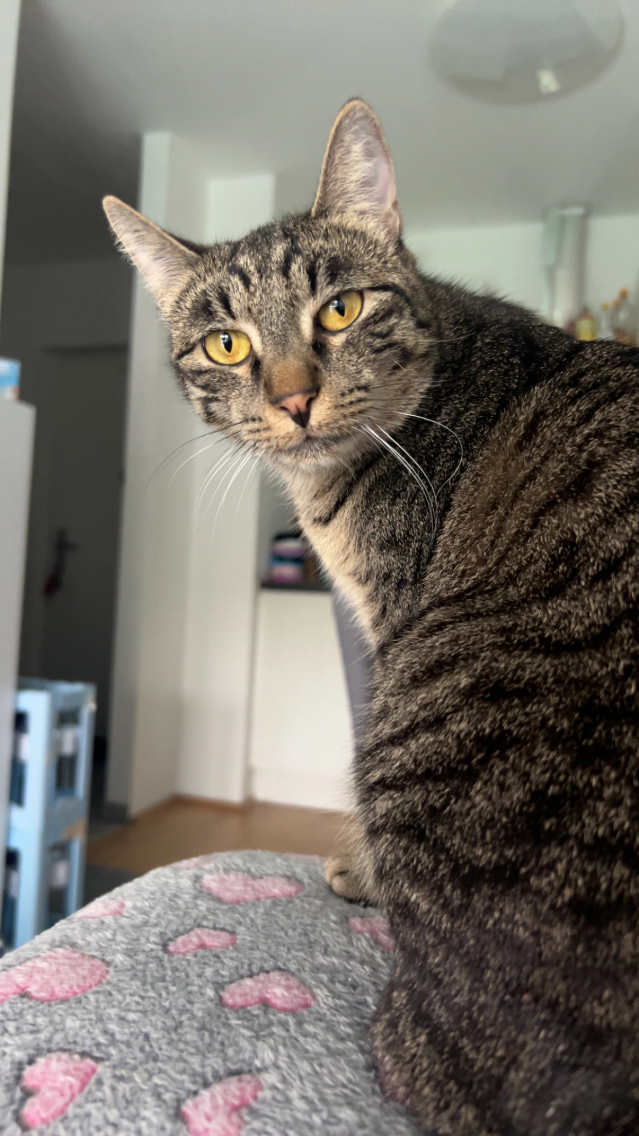 Mary  - Brauquartier, Graz