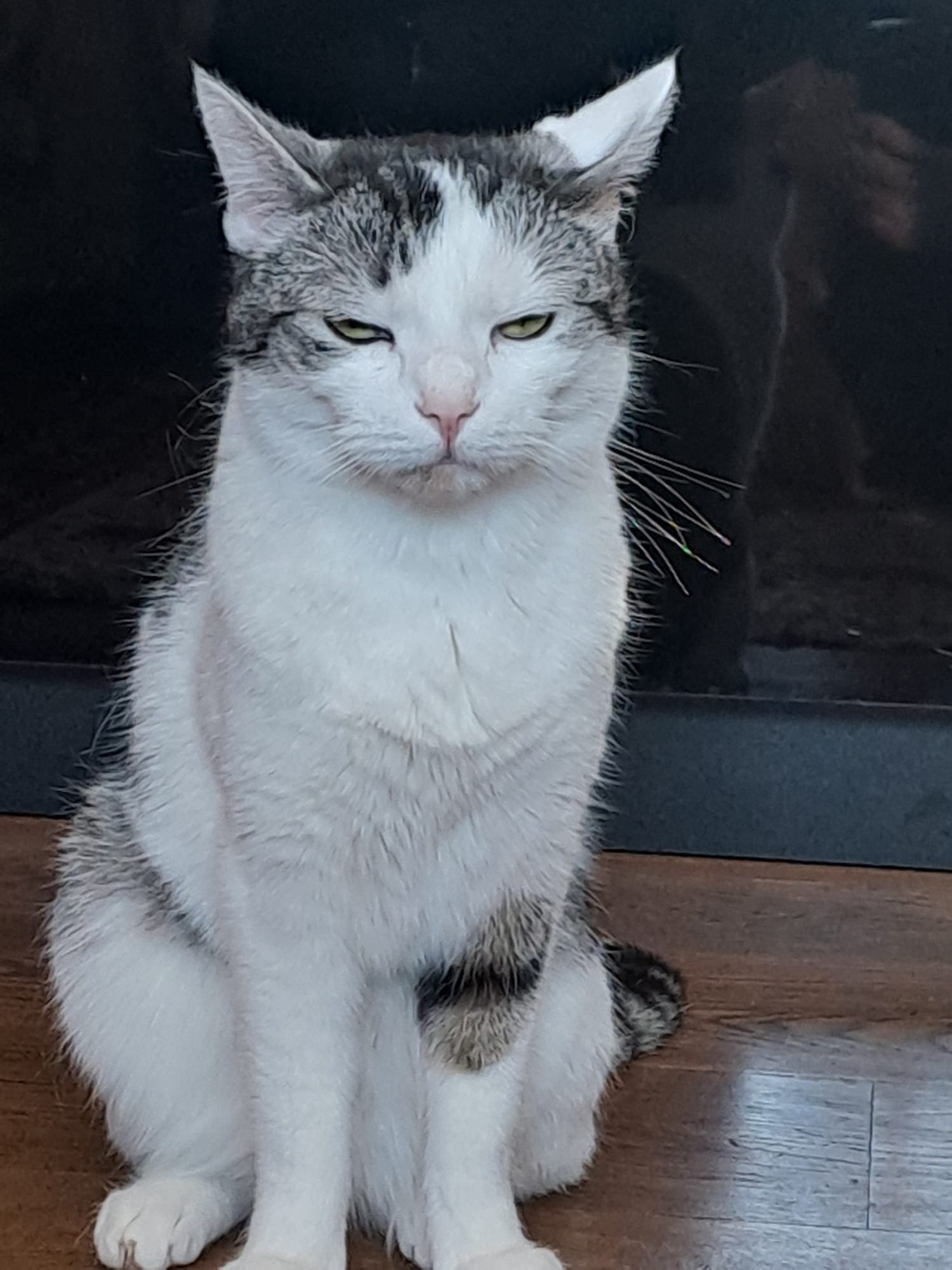 Curry - Grevener Straße, Telgte